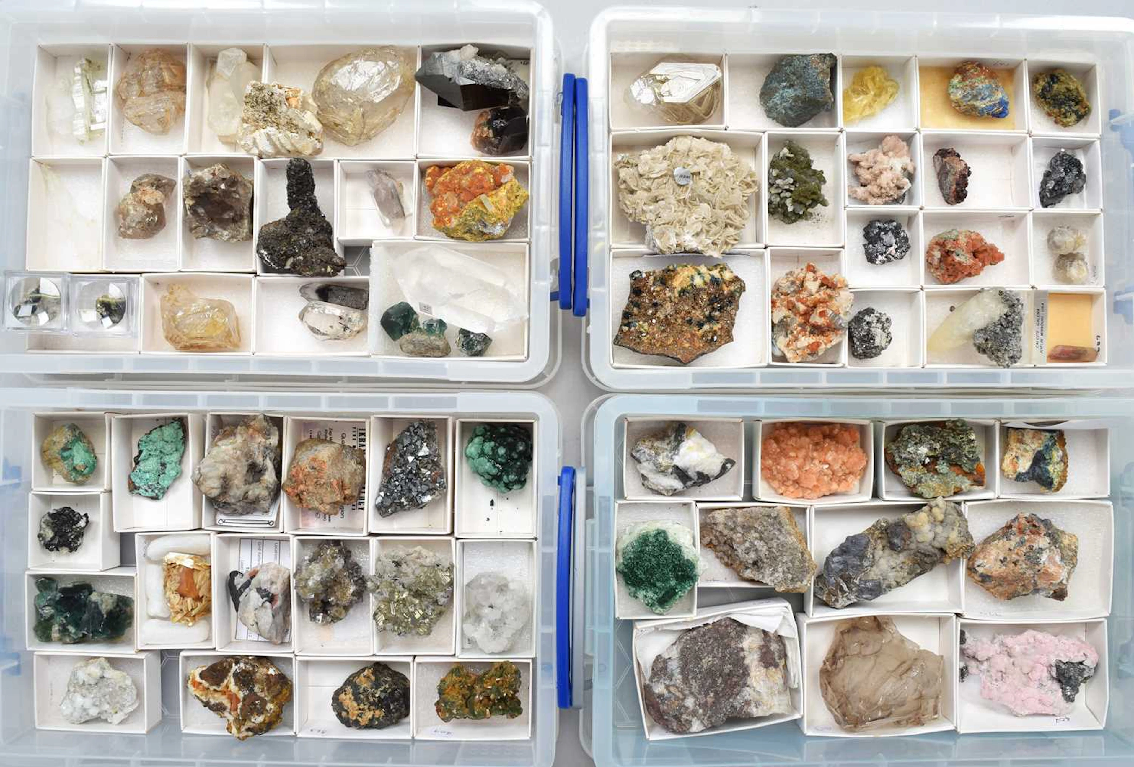 Minerals/Fossils: A Collection of Various Mineral Specimens