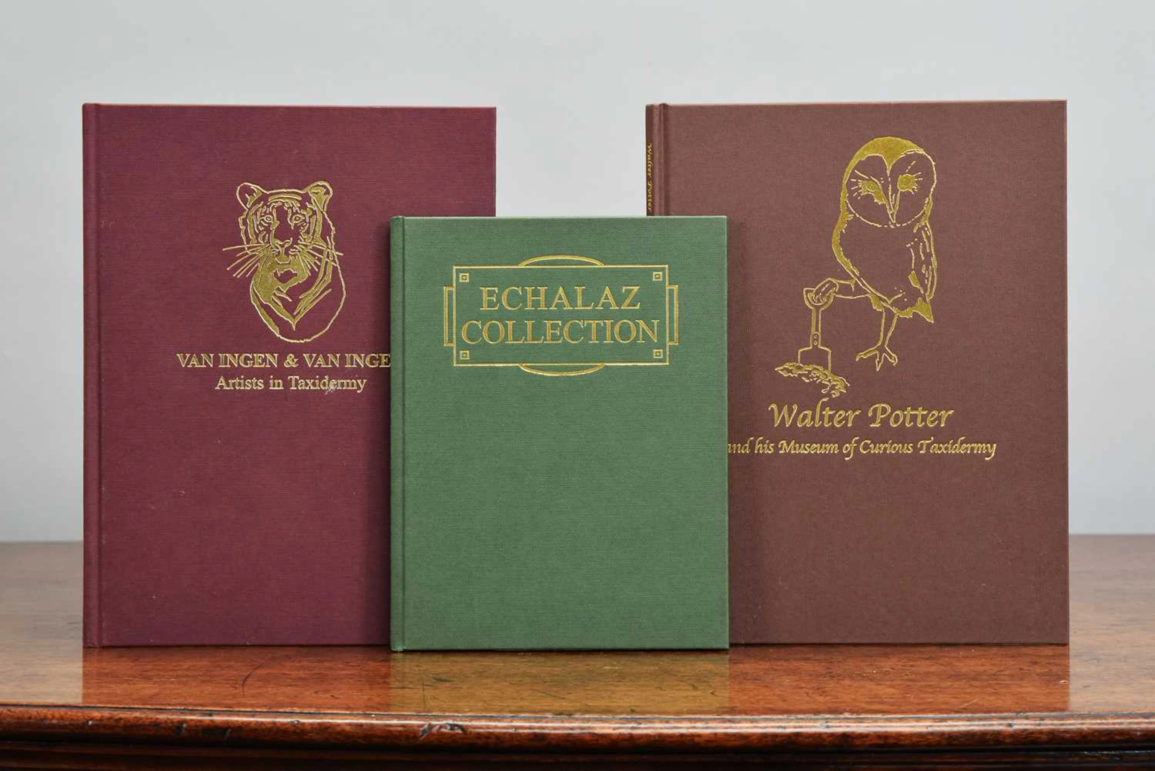 Natural History Books: A Group of Natural History Books
