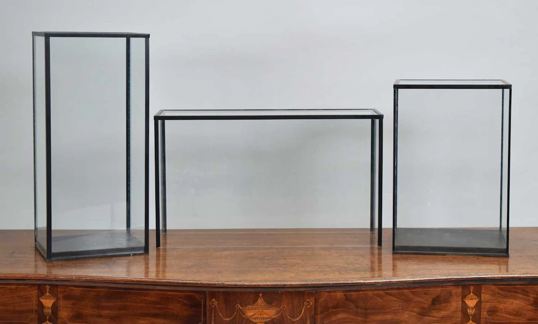 Natural History: A Group of Taxidermy Display Cases, modern