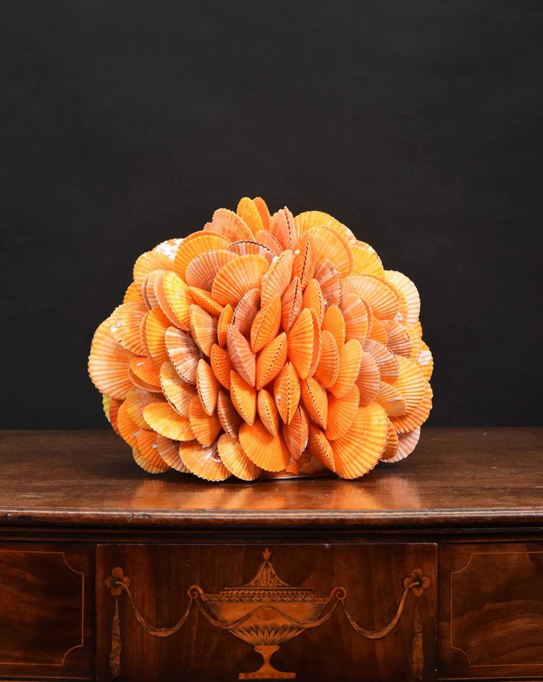 Conchology: An Orange Clam Shell Sphere