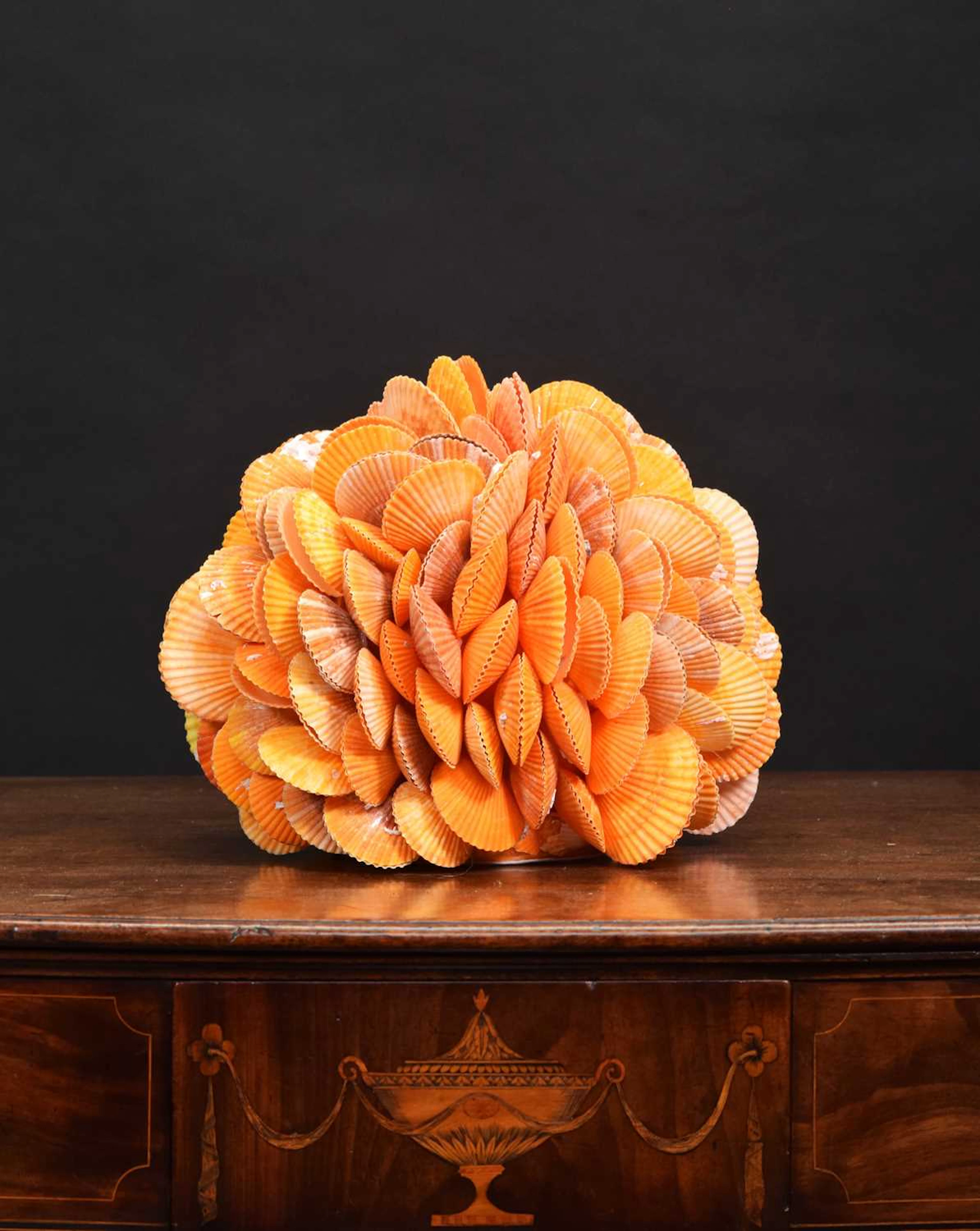 Conchology: An Orange Clam Shell Sphere