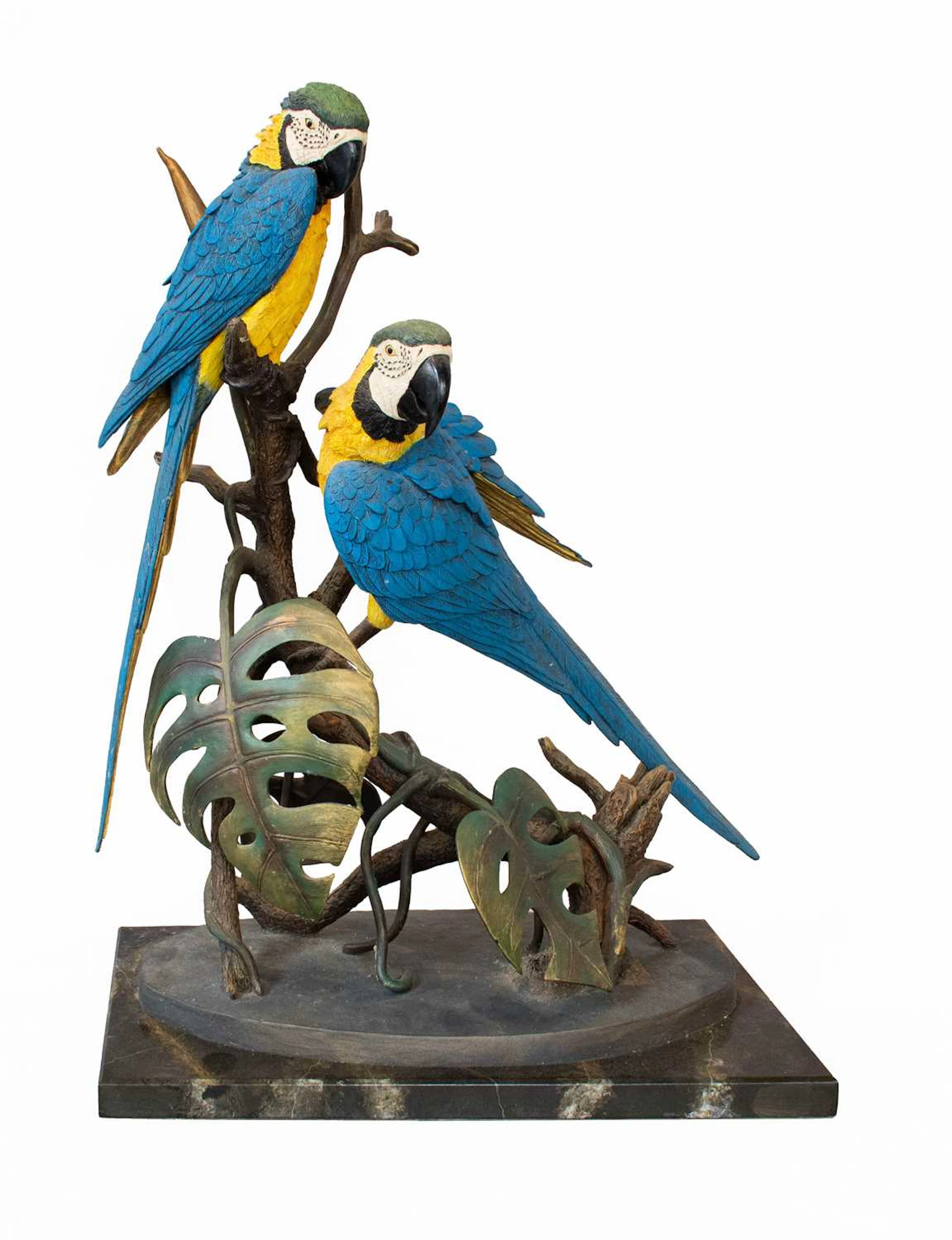 Border Fine Arts 'Blue and Gold Macaws'