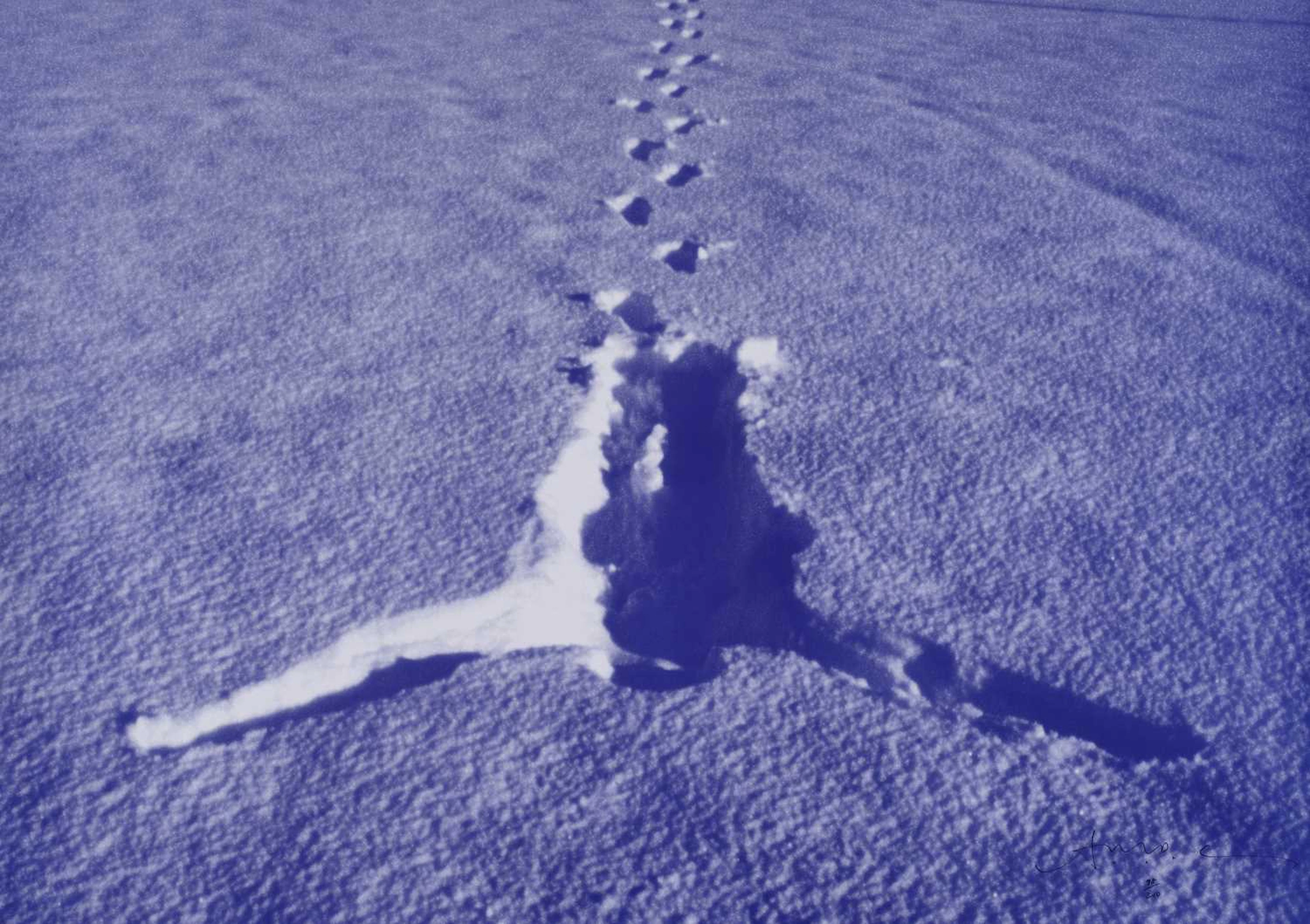 Antony Gormley OBE (b.1950)