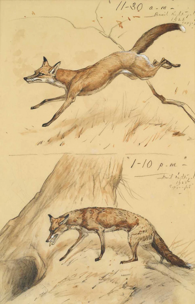 Basil Nightingale (1864-1940)