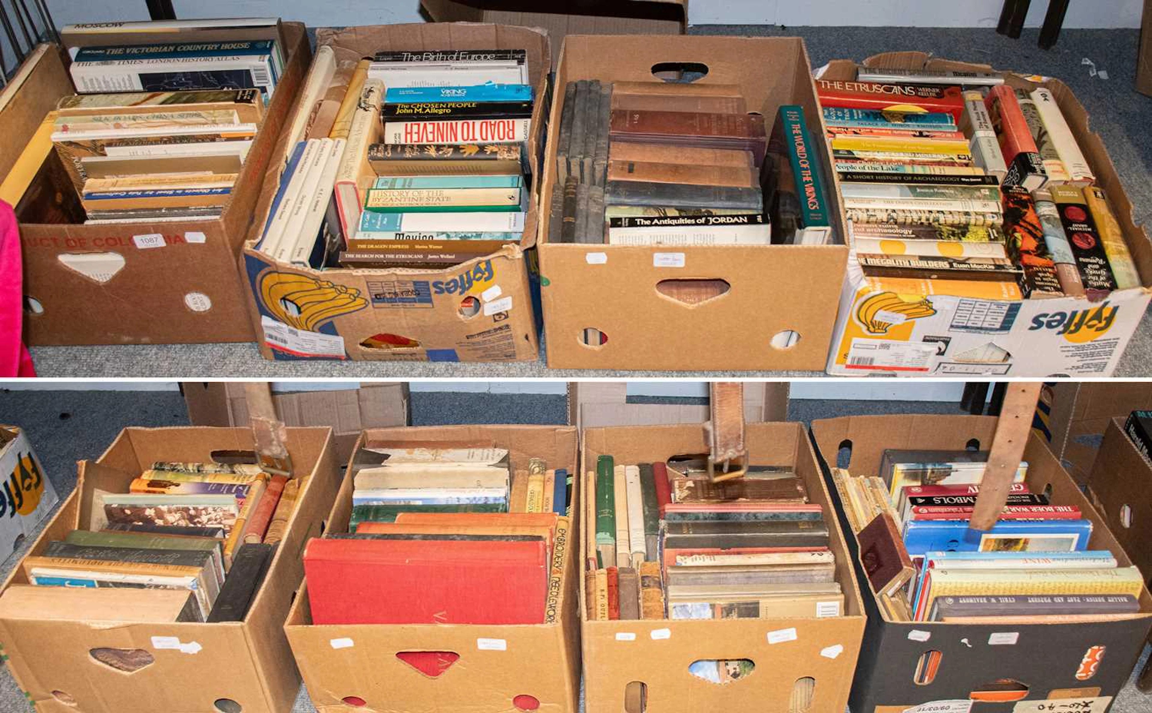 Collection of History Books