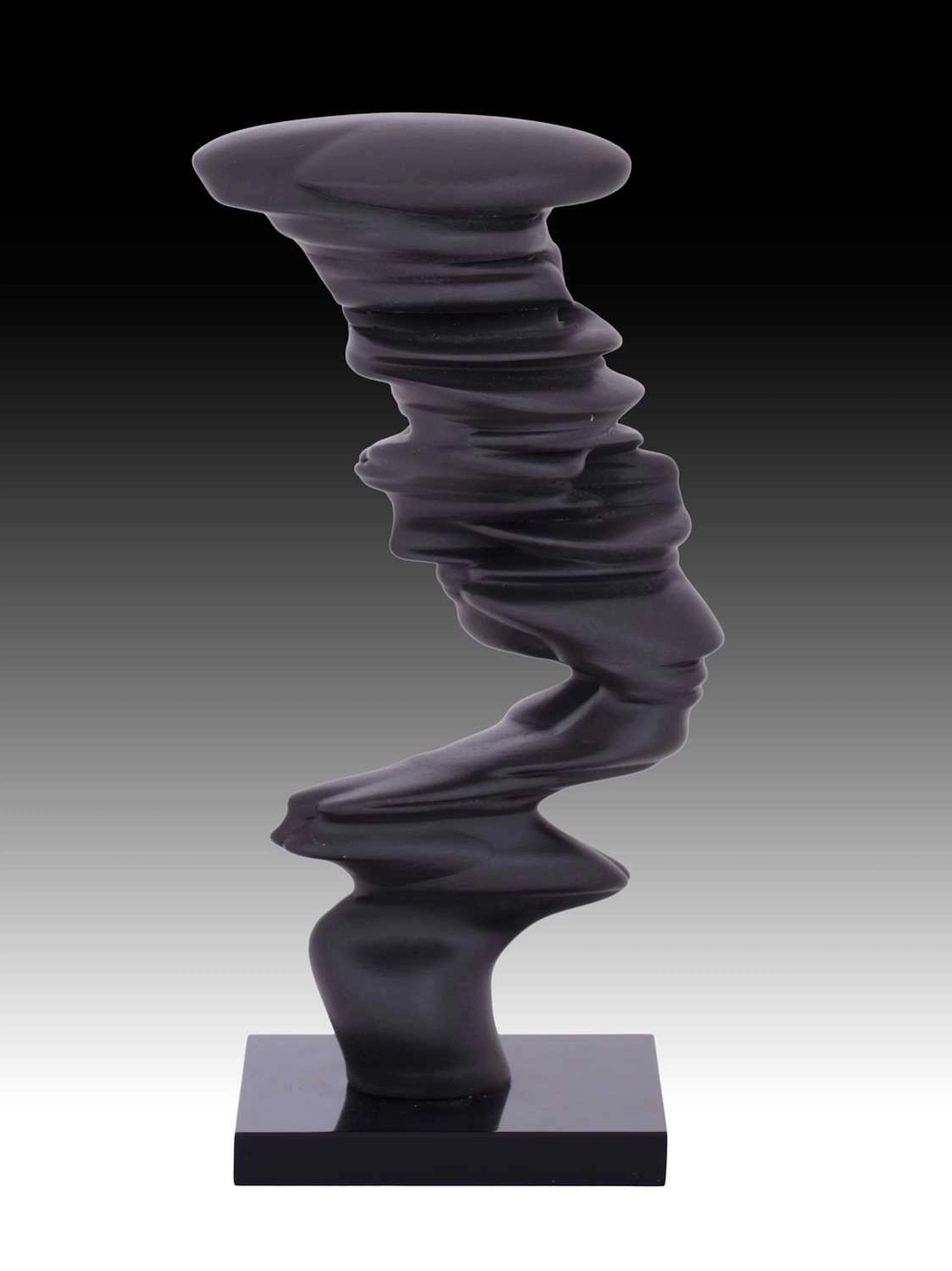 Sir Tony Cragg CBE, RA (b.1949)