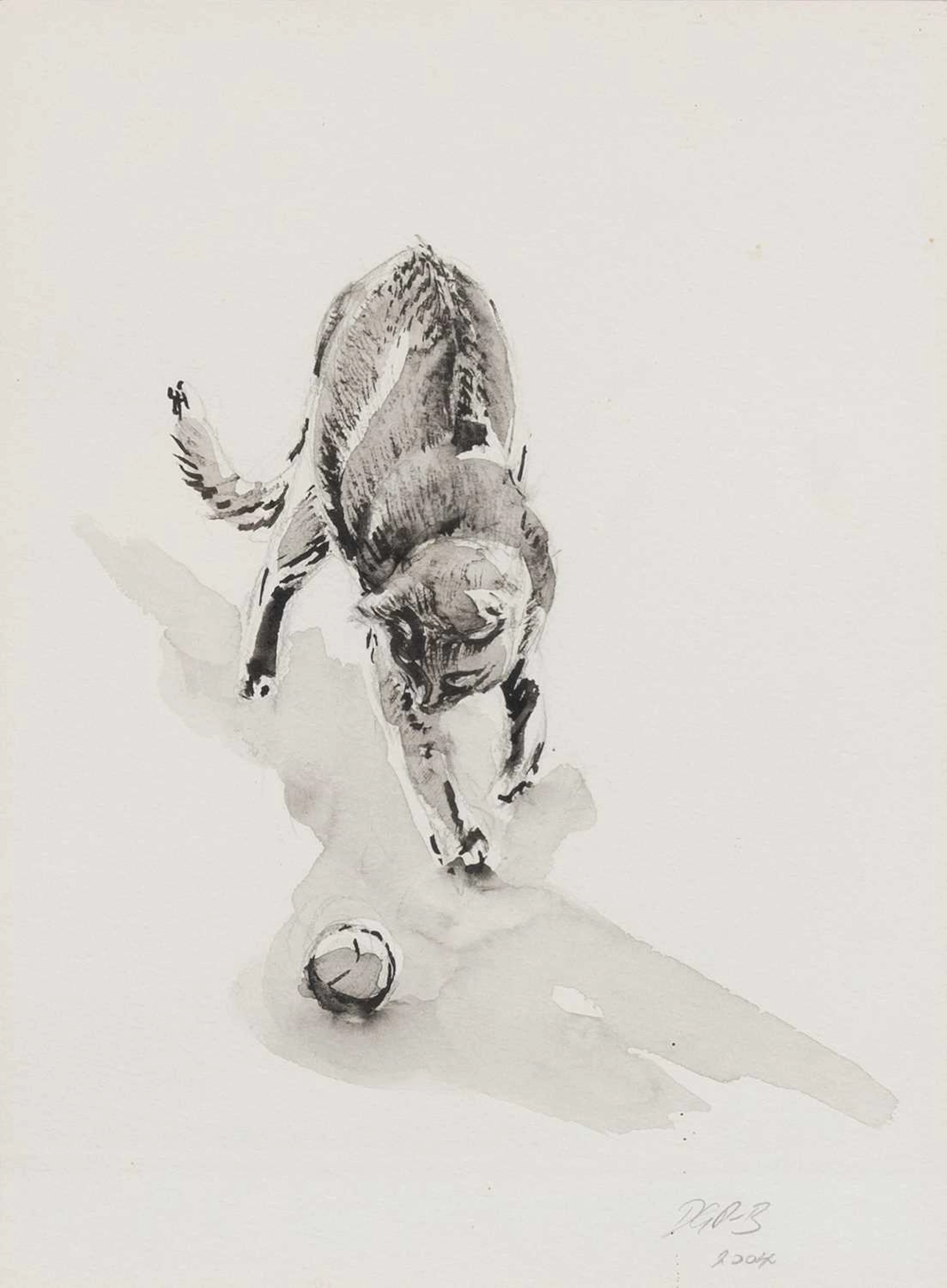 David Porteous-Butler (Contemporary)