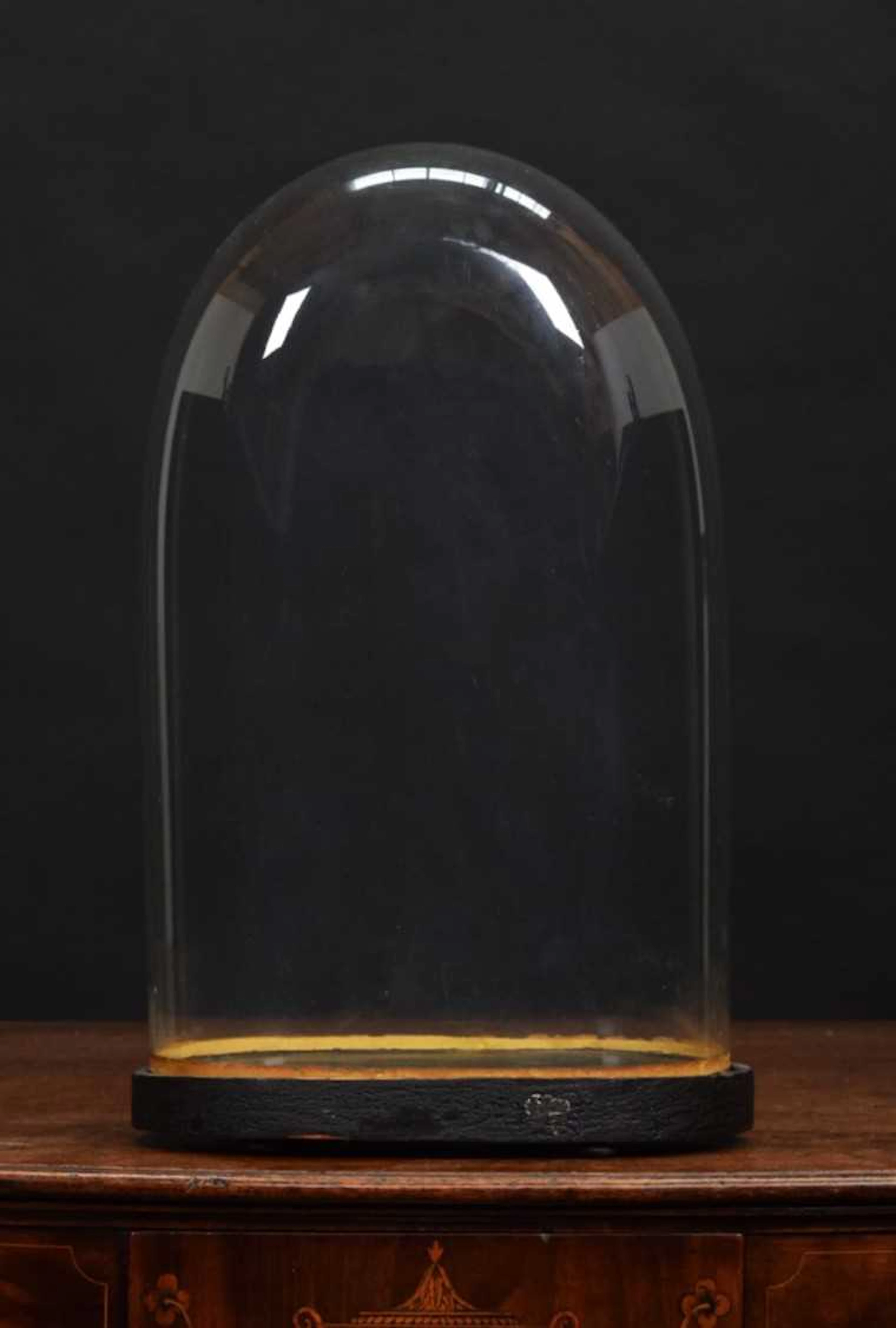 Glass Dome: An Oval Glass Dome