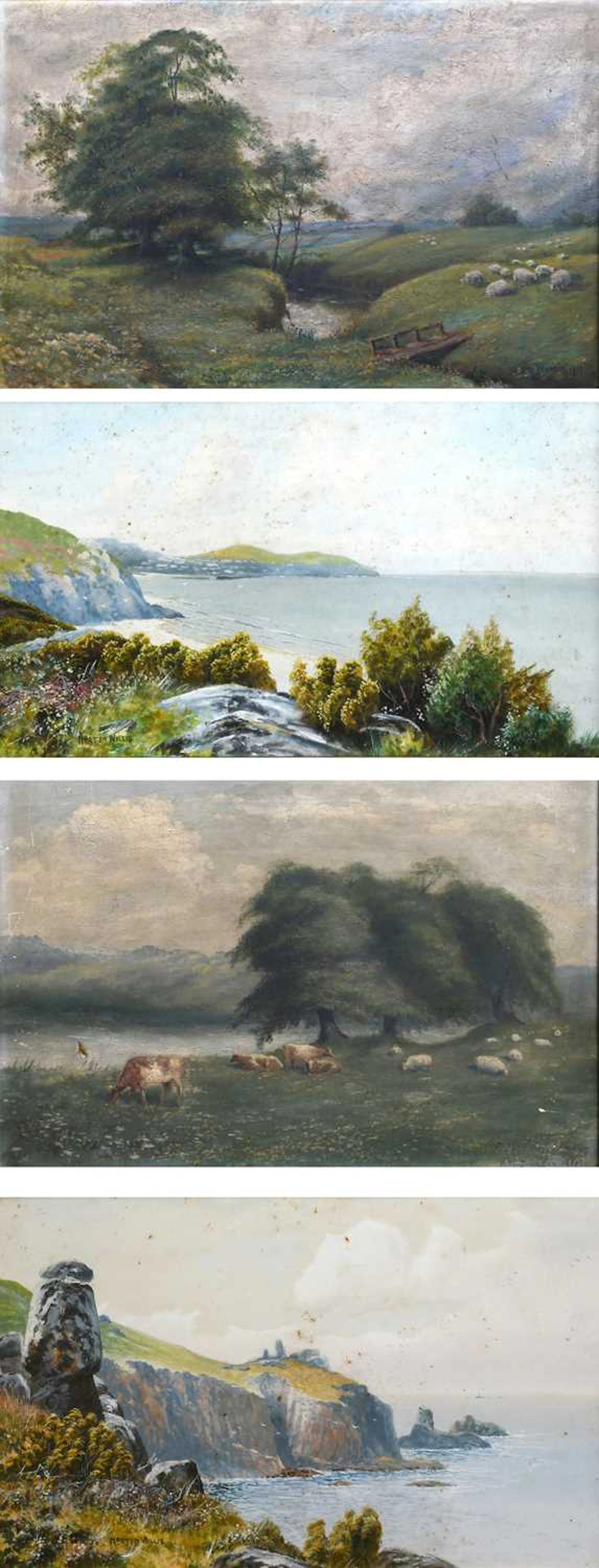 Norton Willis (fl. 1879-1896)