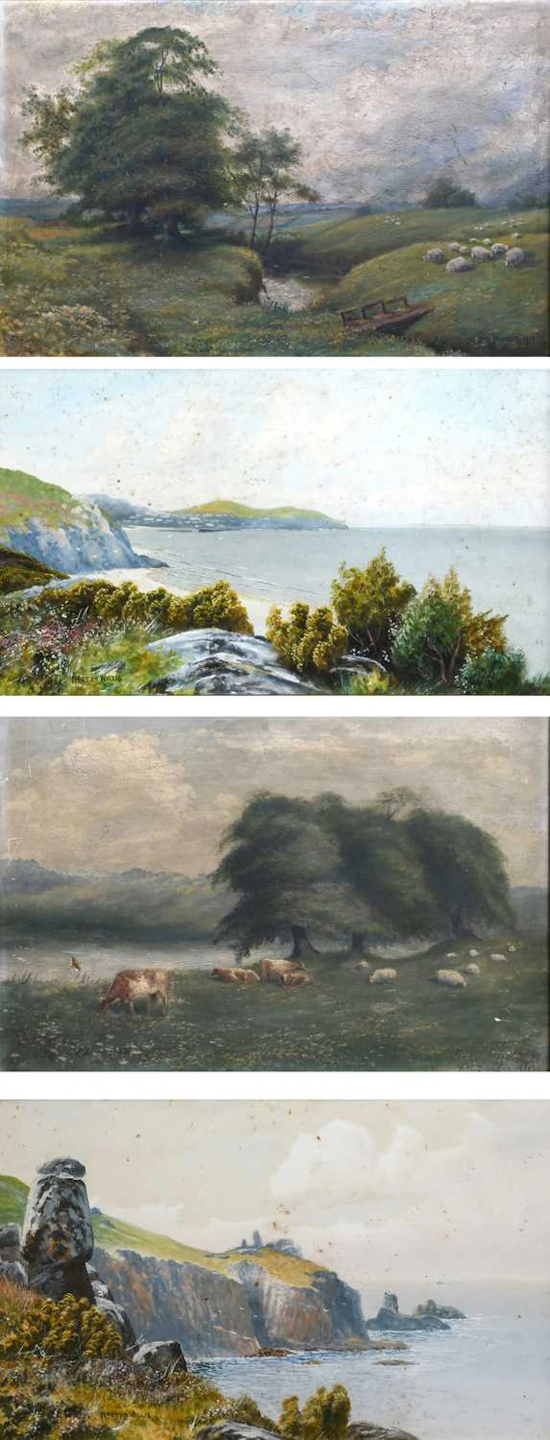 Norton Willis (fl. 1879-1896)