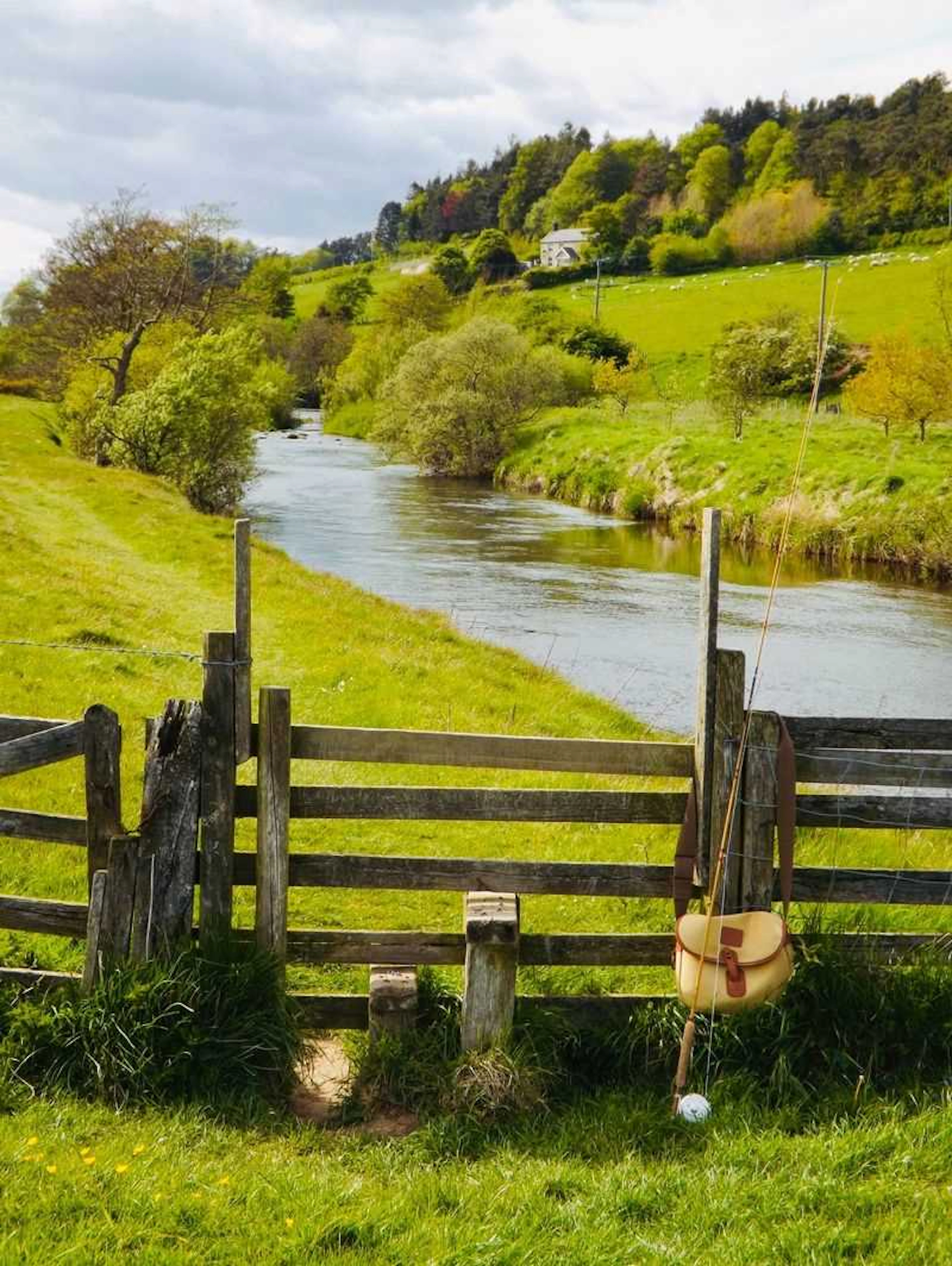 Two Guided Days for Two Rods on the Rivers Tyne, Coquet & Till, Northumberland.