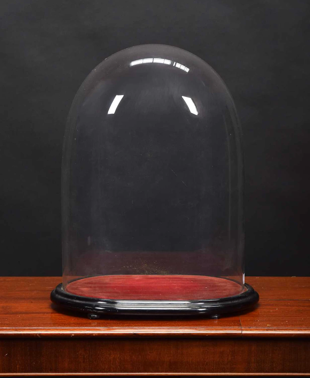 Glass Dome: An Oval Glass Dome