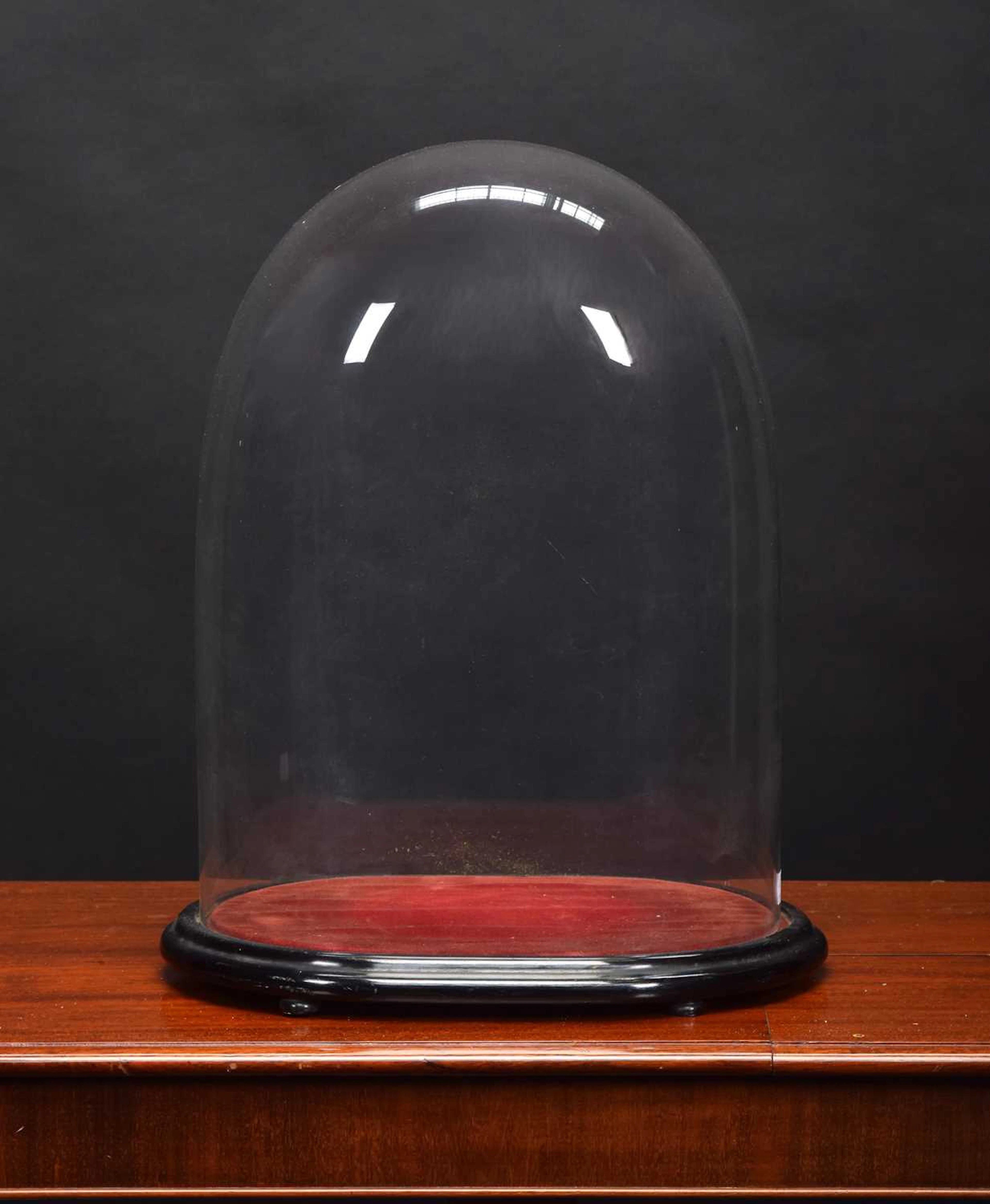 Glass Dome: An Oval Glass Dome