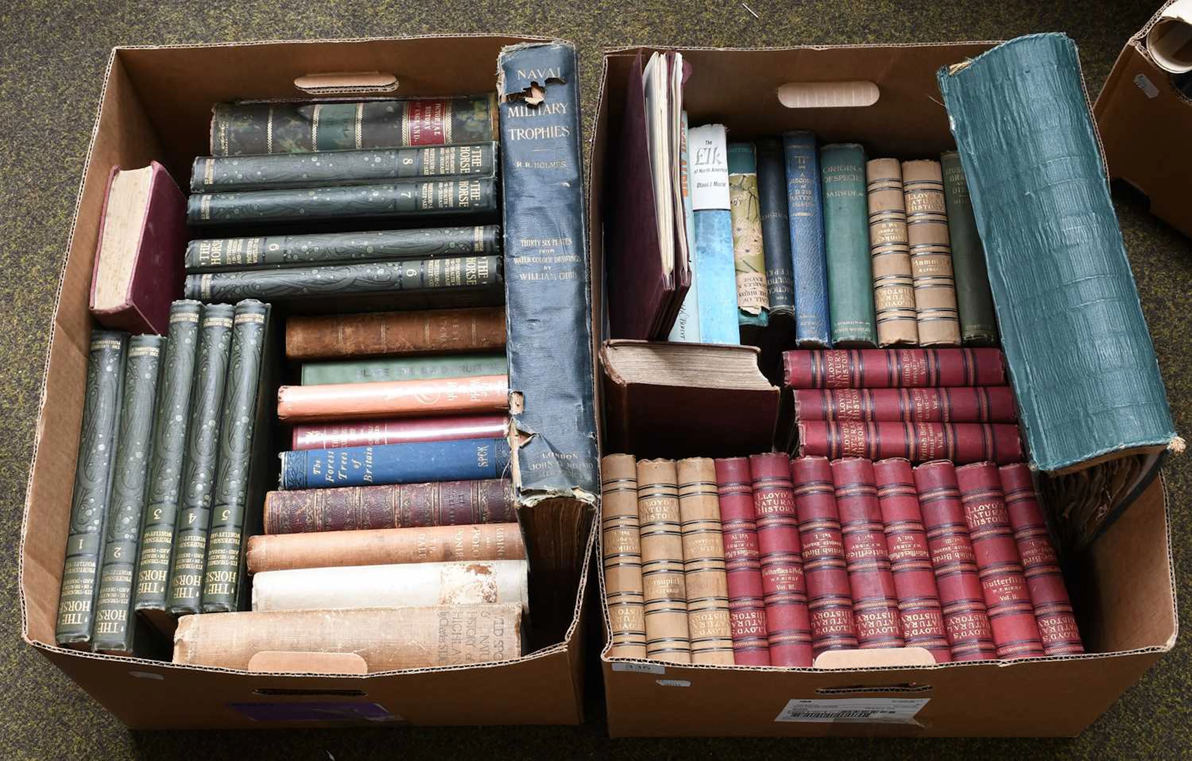 Assorted Books