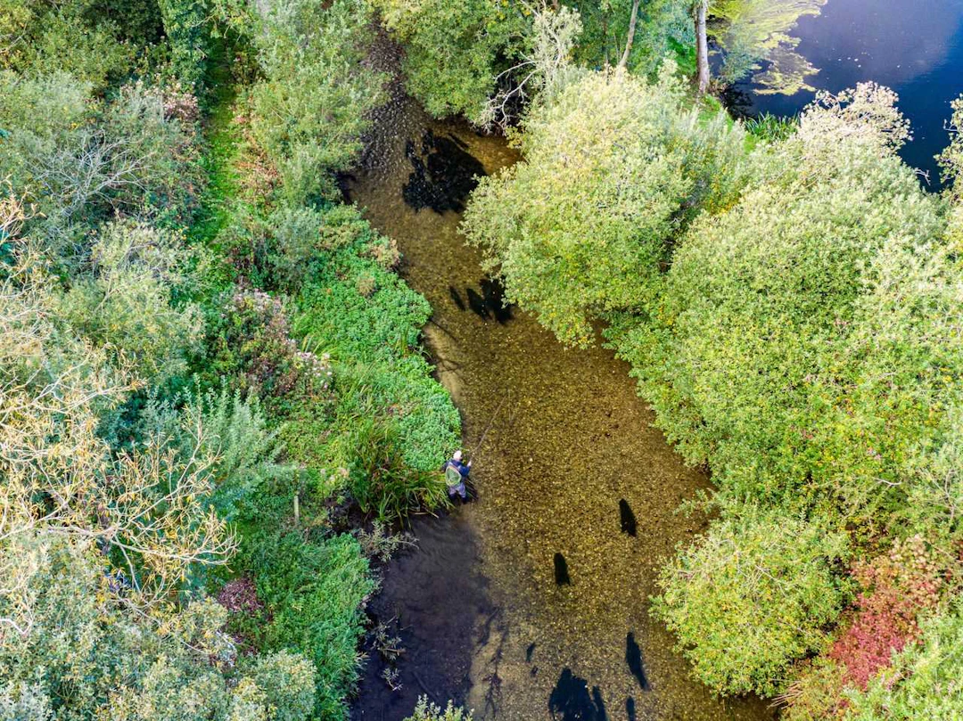 One Day Chalk Stream Fishing for One to Three Rods on the River Wylye.