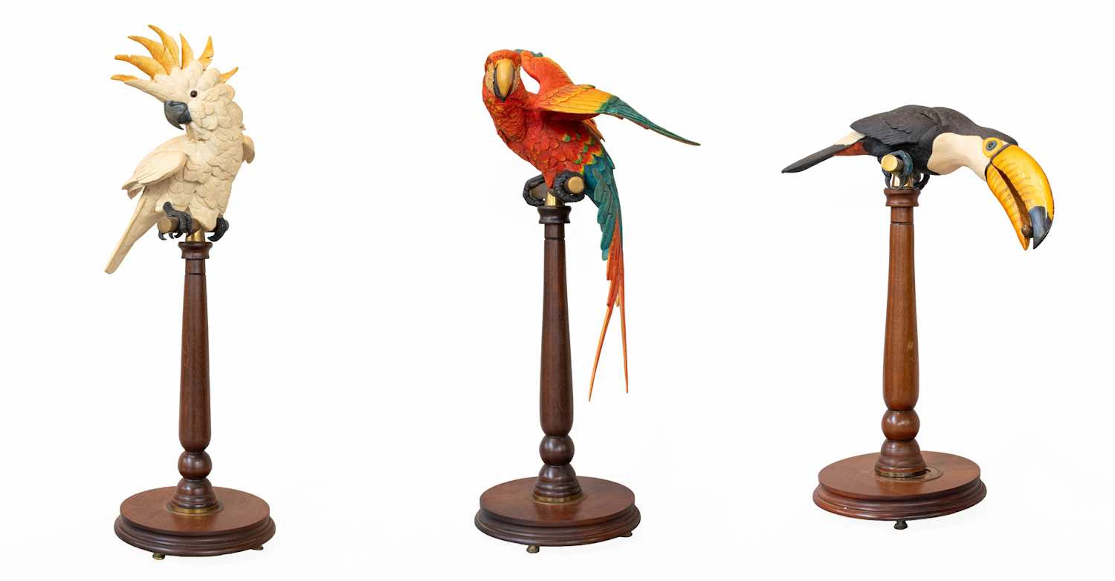 Border Fine Arts Exotic Bird Models, Macaw, Cockatoo, Tucan