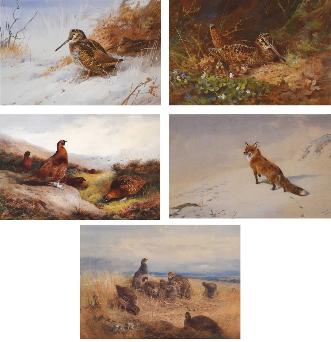 After Archibald Thorburn FZS (1860-1935)