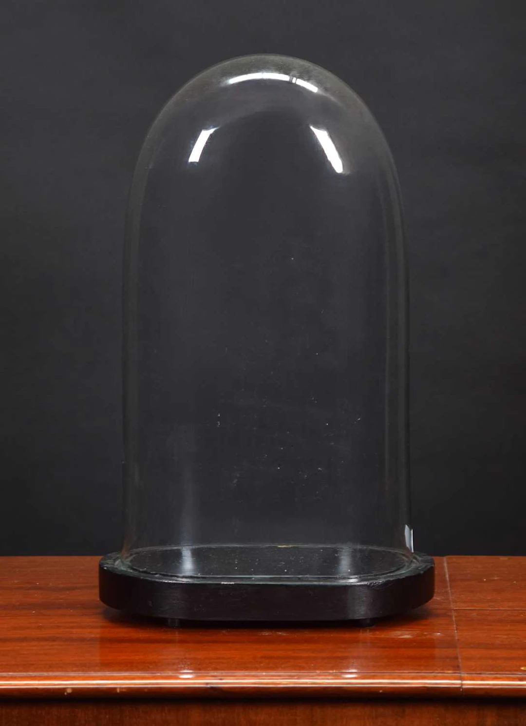 Glass Dome: An Oval Glass Dome