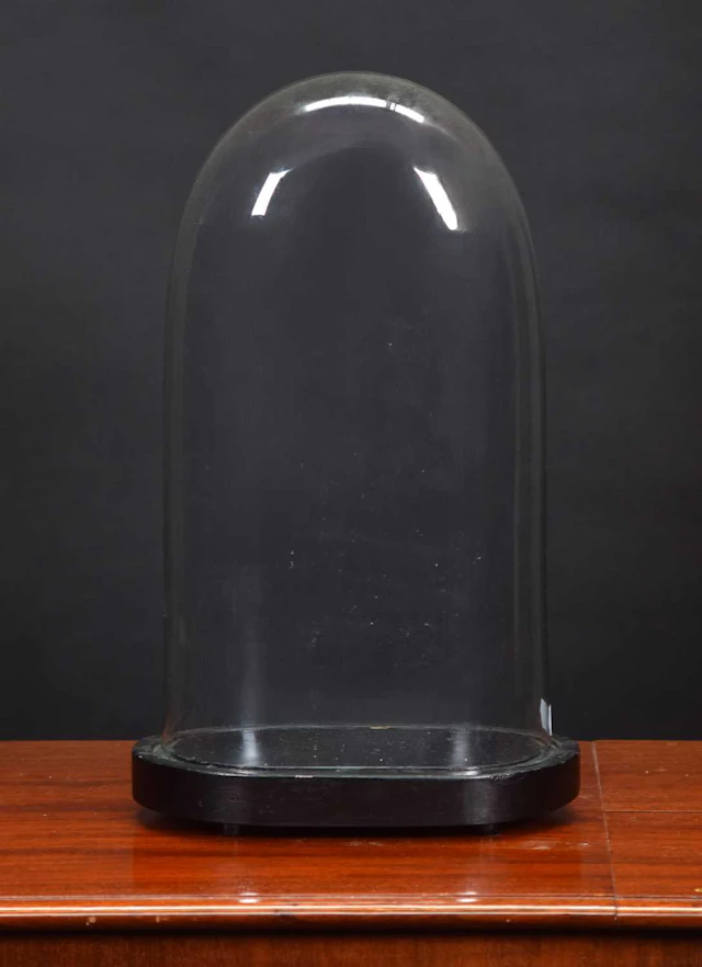 Glass Dome: An Oval Glass Dome