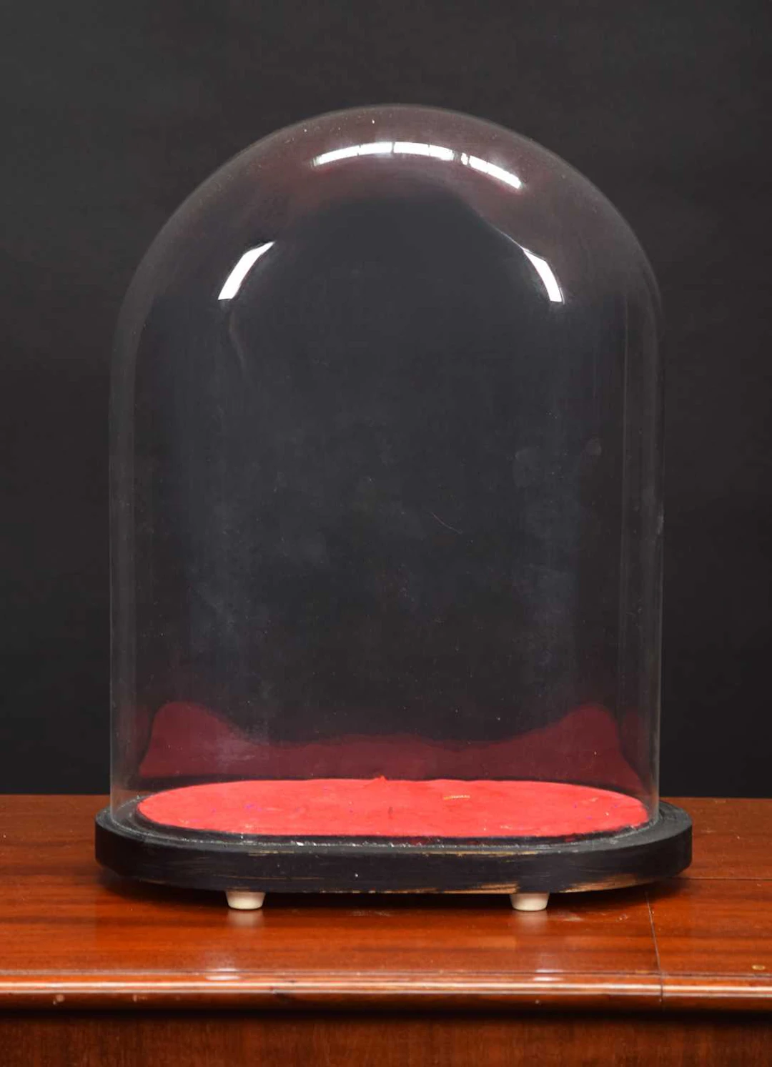 Glass Dome: An Oval Glass Dome