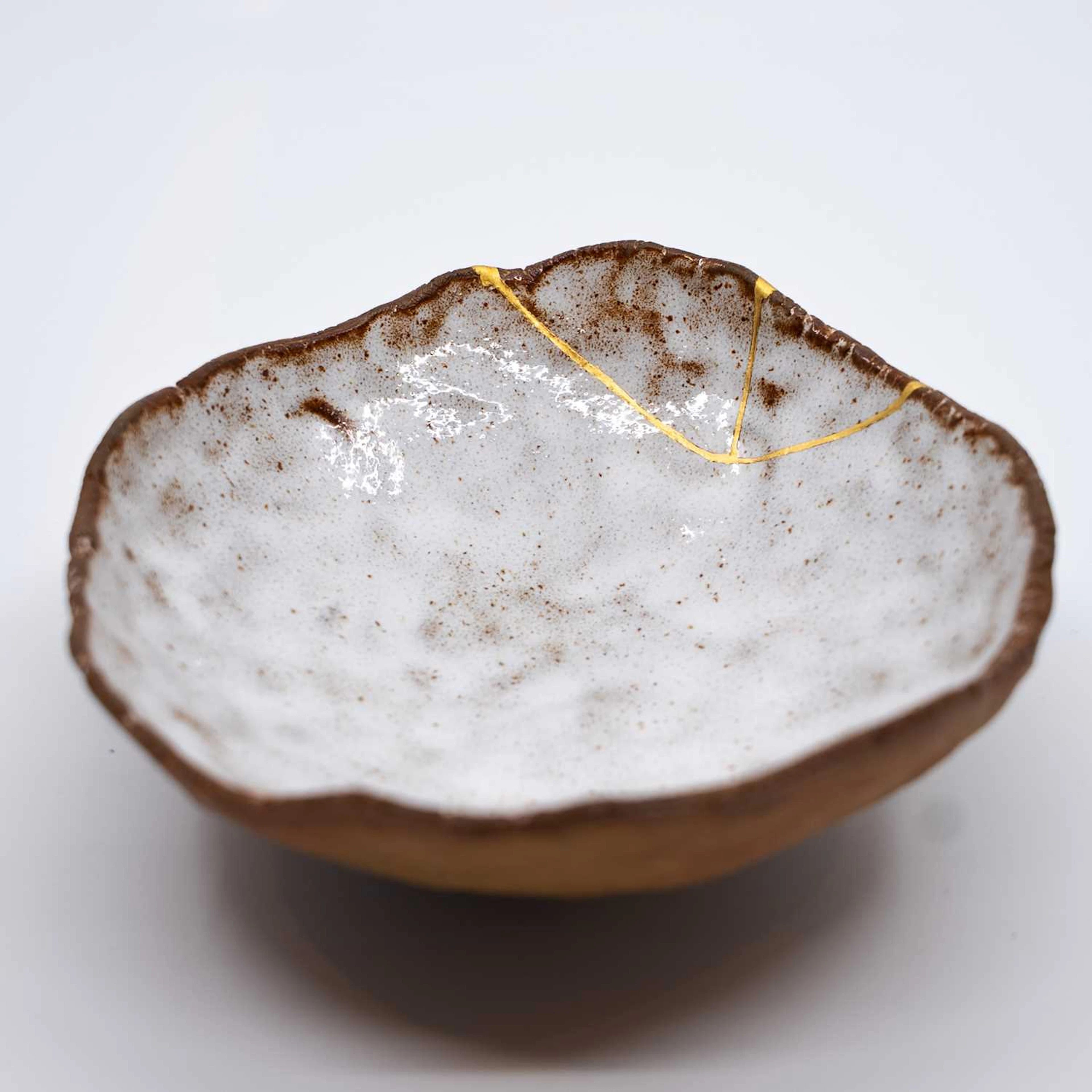 Ynyshir: Bowl by Muzuri Ware, Ynyshir, Eglwys Fach, Wales, :, Muzuri