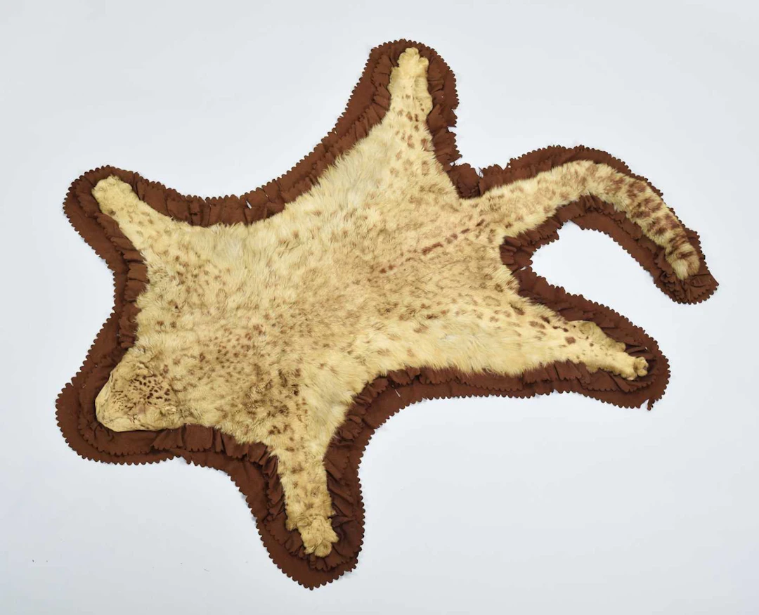 Skins/Hides: An Edwardian Snow Leopard Skin Rug (Panthera uncia)