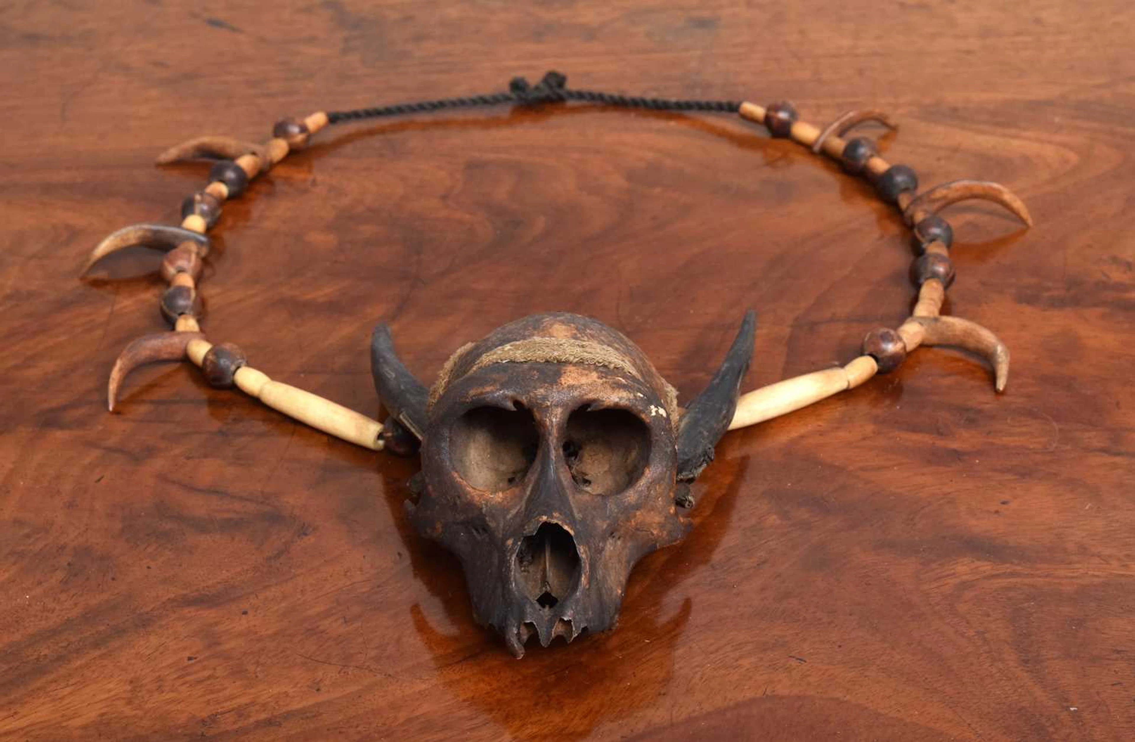 Natural History: An Unusual Early 20th Century Ifugao Monkey Skull