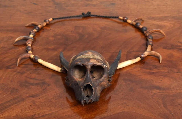 Natural History: An Unusual Early 20th Century Ifugao Monkey Skull