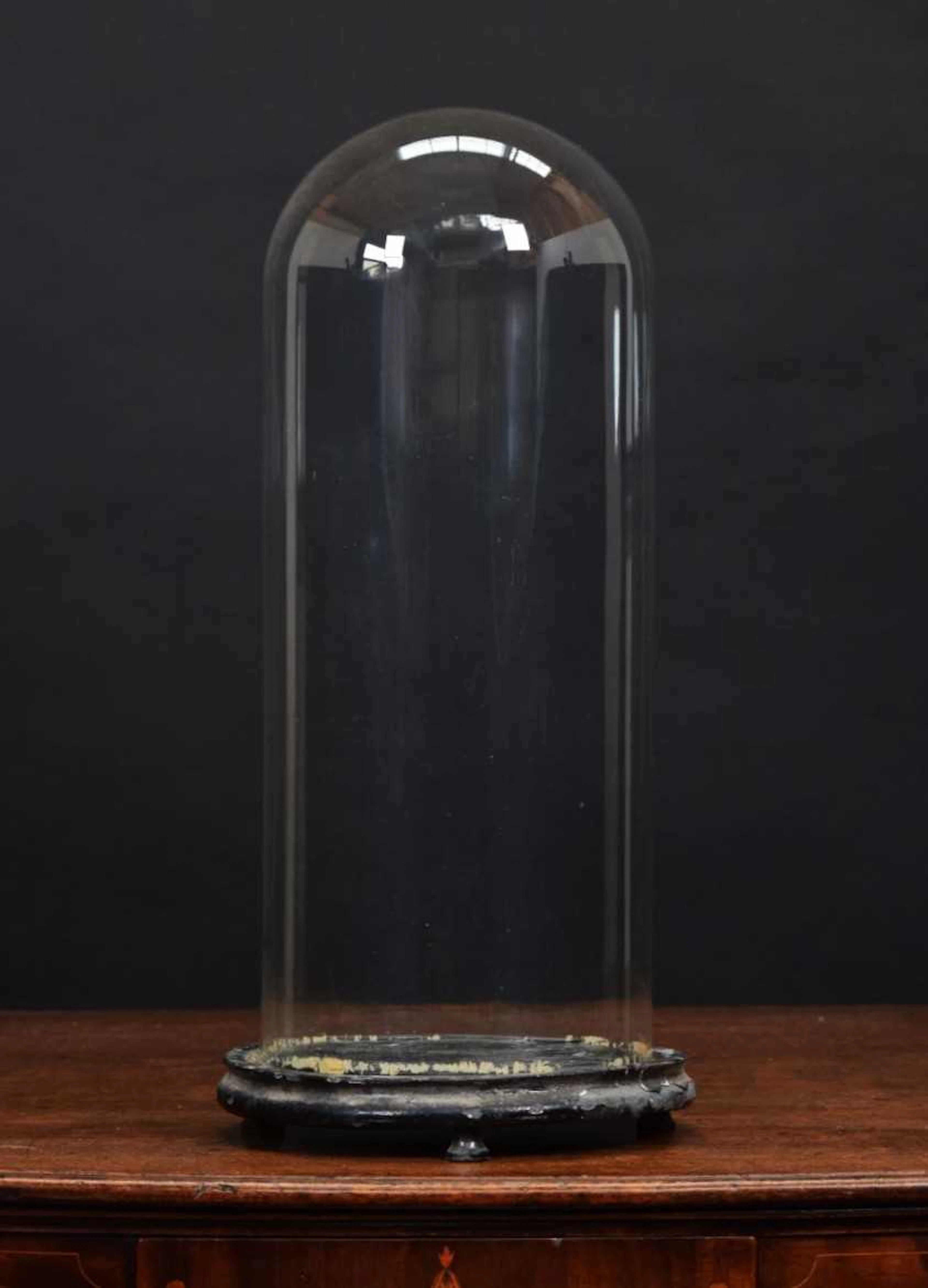 Glass Dome: A Period Circular Glass Dome