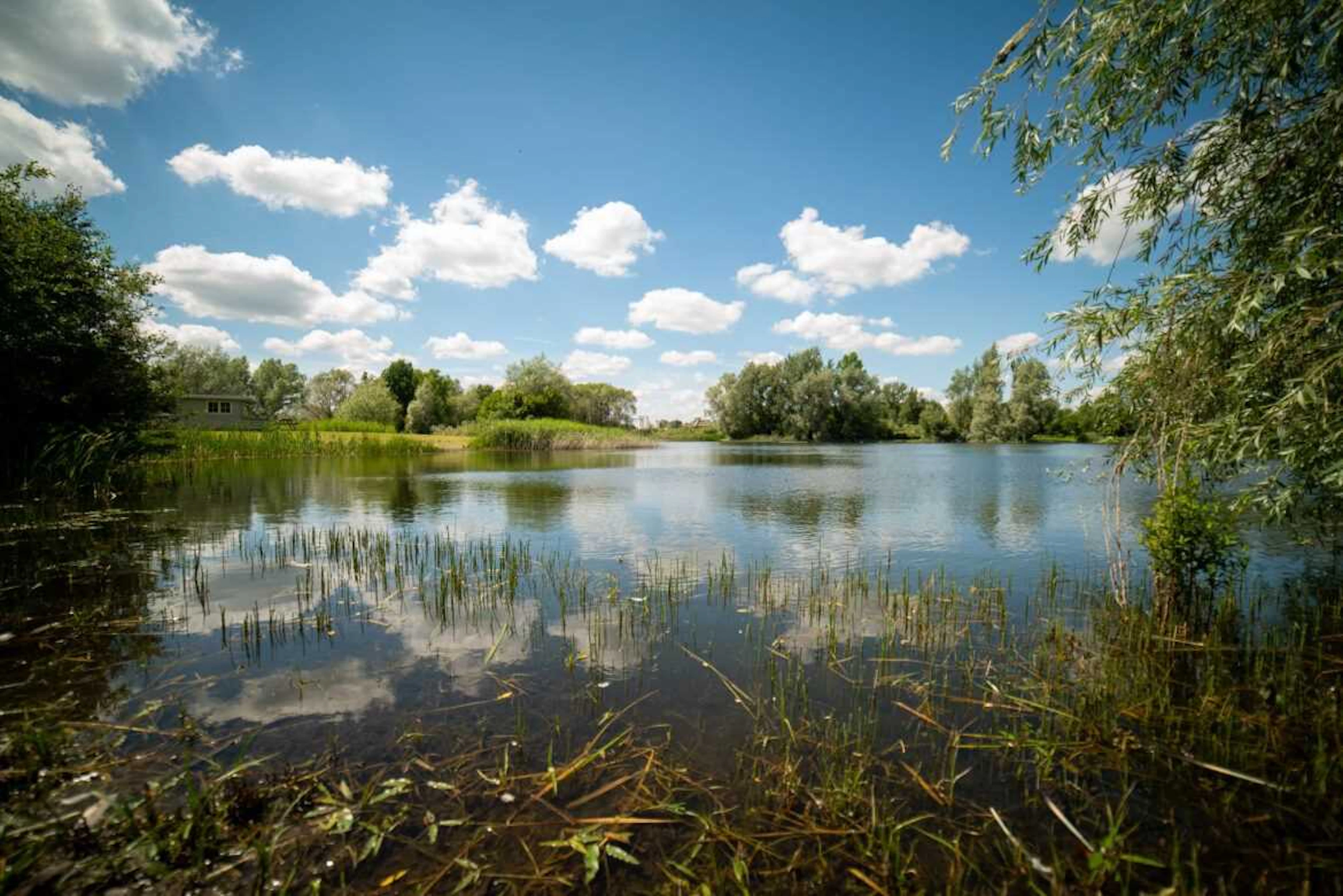 An Exclusive Day for Four Rods on Hobby Lake at the Sportfish Game