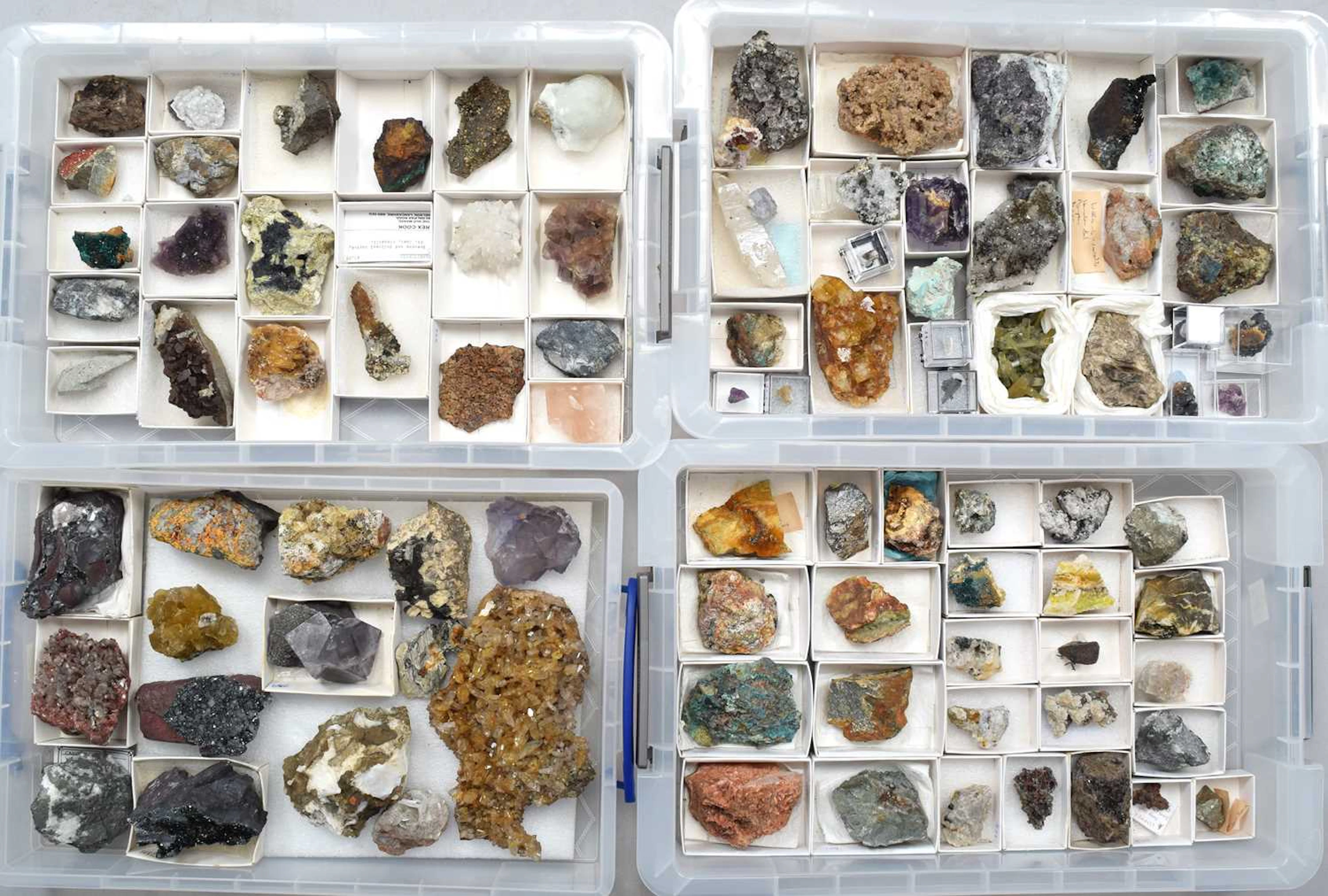 Minerals/Fossils: A Collection of Various Mineral Specimens