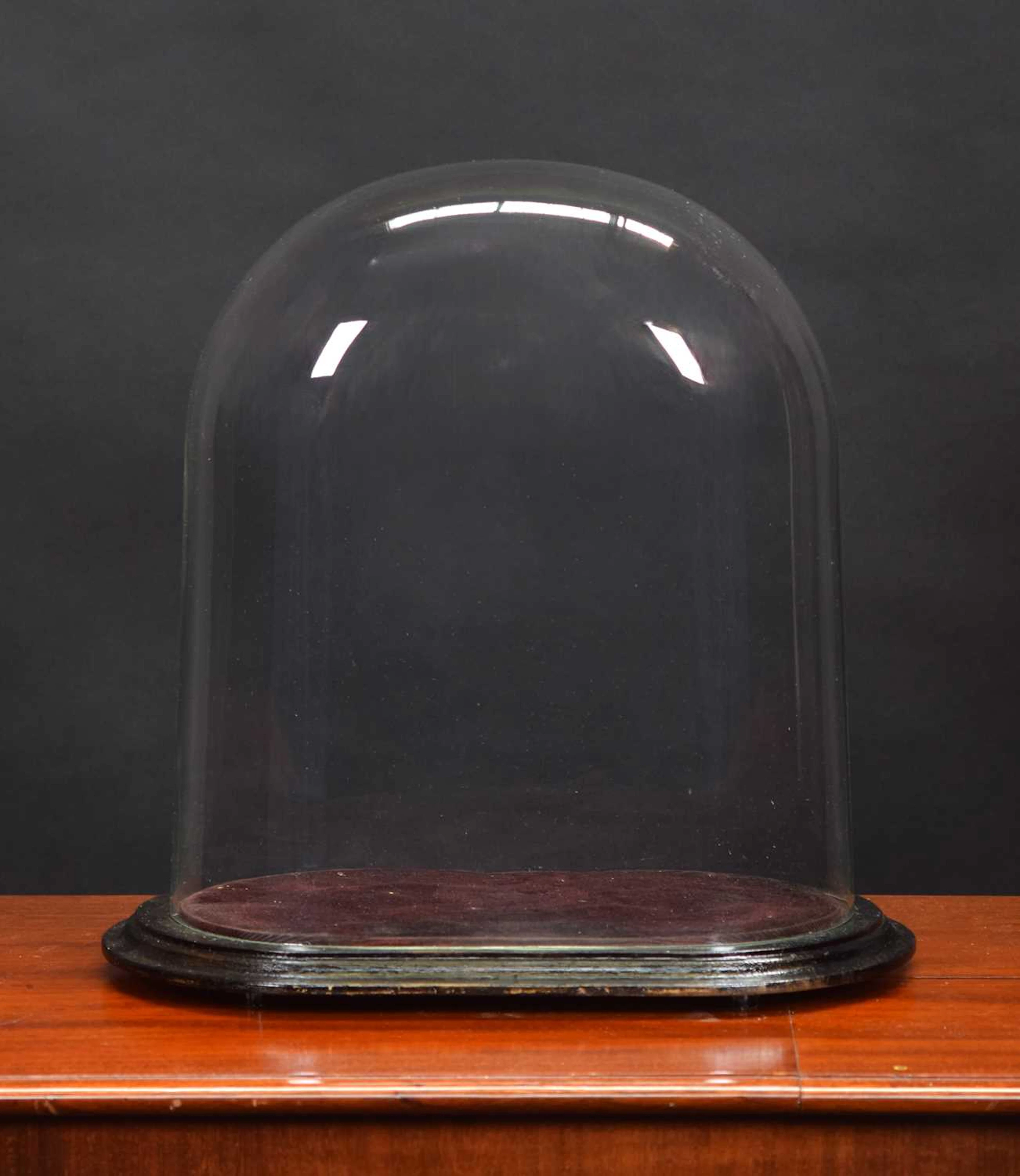 Glass Dome: An Oval Glass Dome
