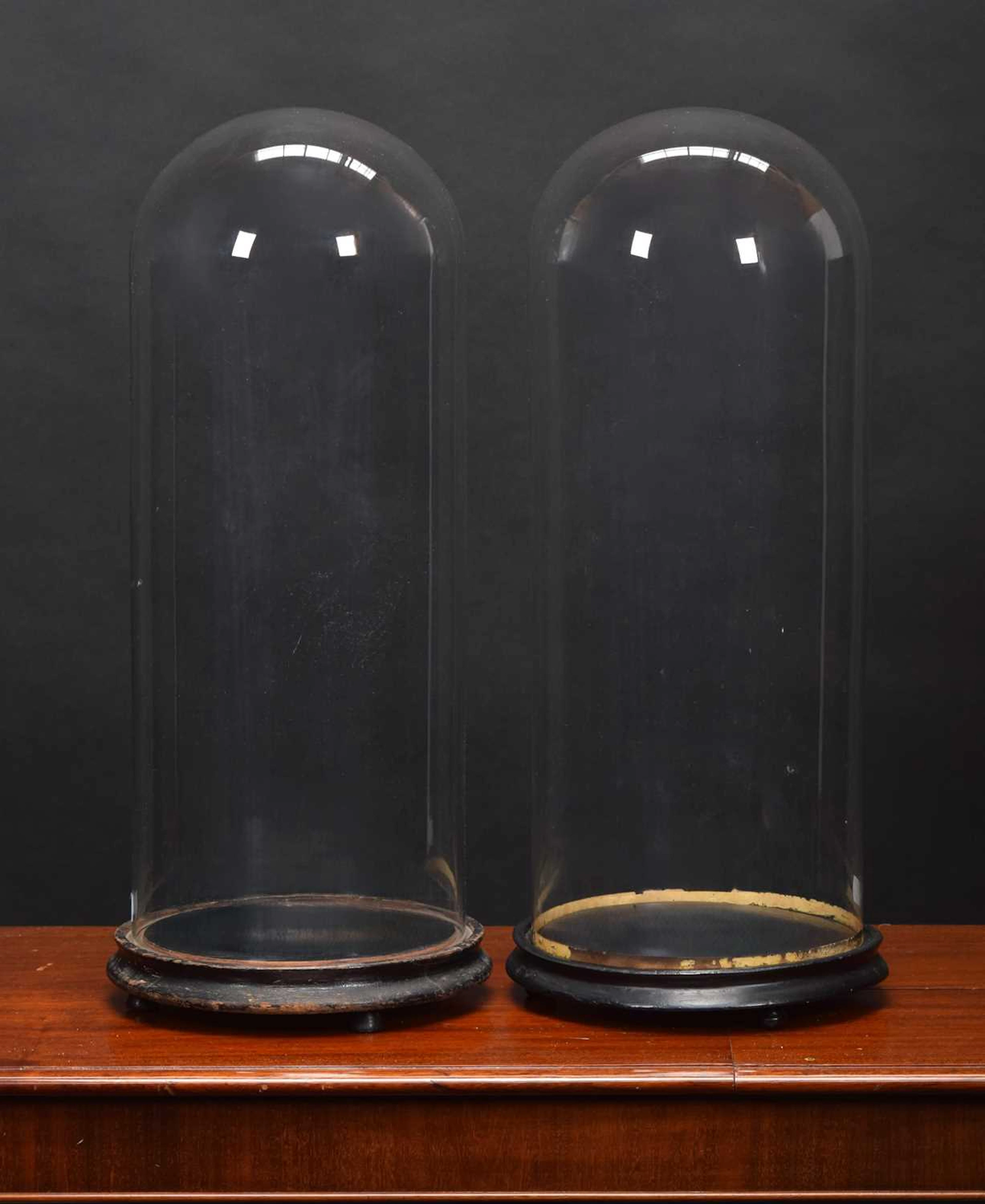 Glass Dome: A Pair of Circular Glass Domes