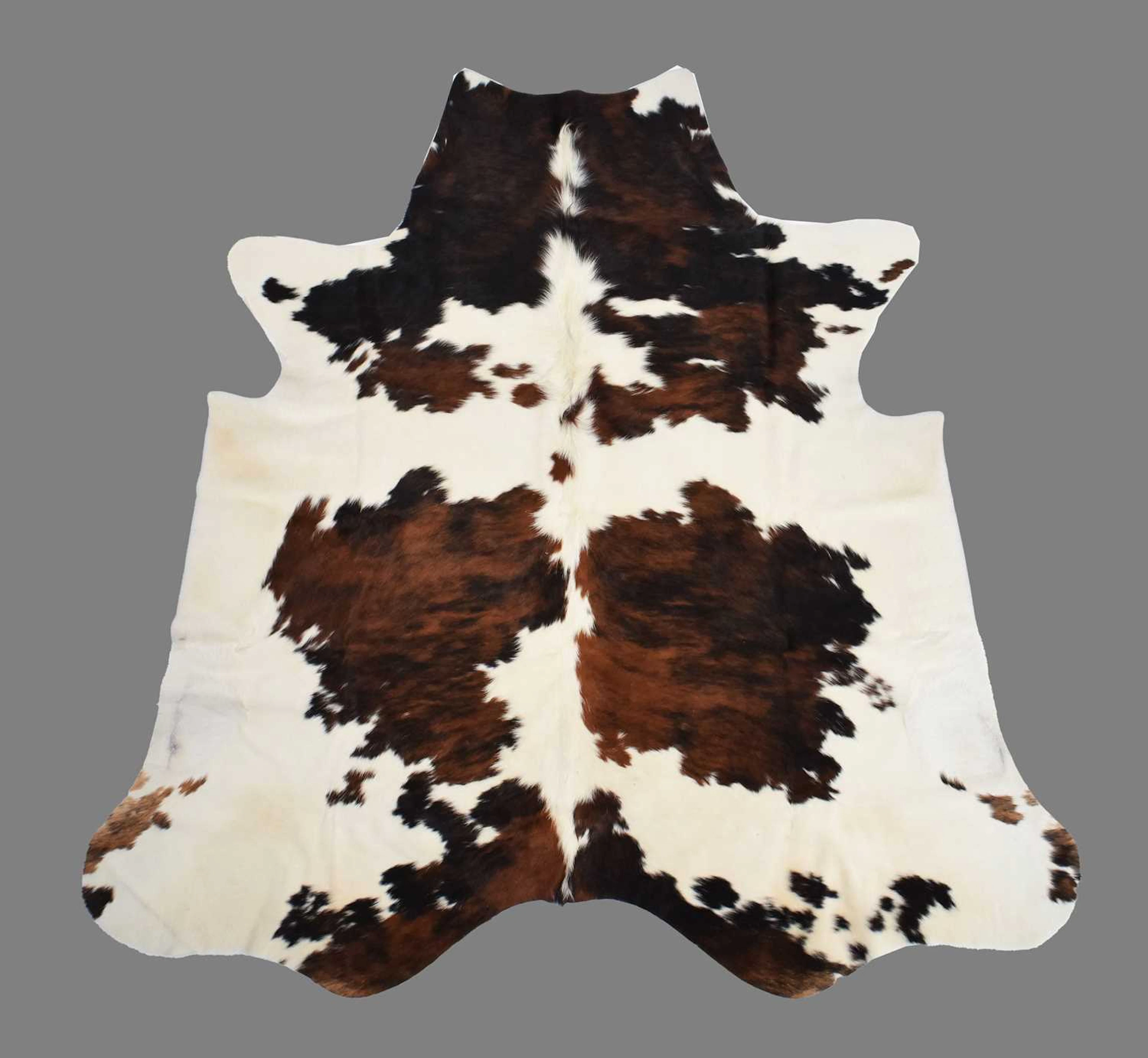 Hides/Skins: Nguni Cow Hide Rug, (Bos taurus), modern, South Africa