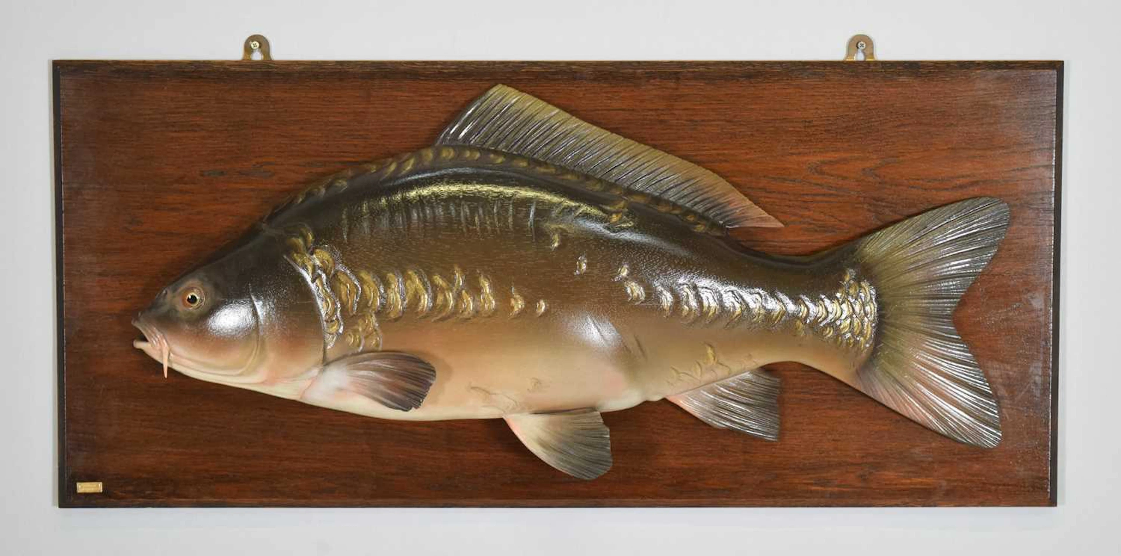 Natural History: A Carved Halfblock Mirror Carp (Cyprinus carpio carpio)