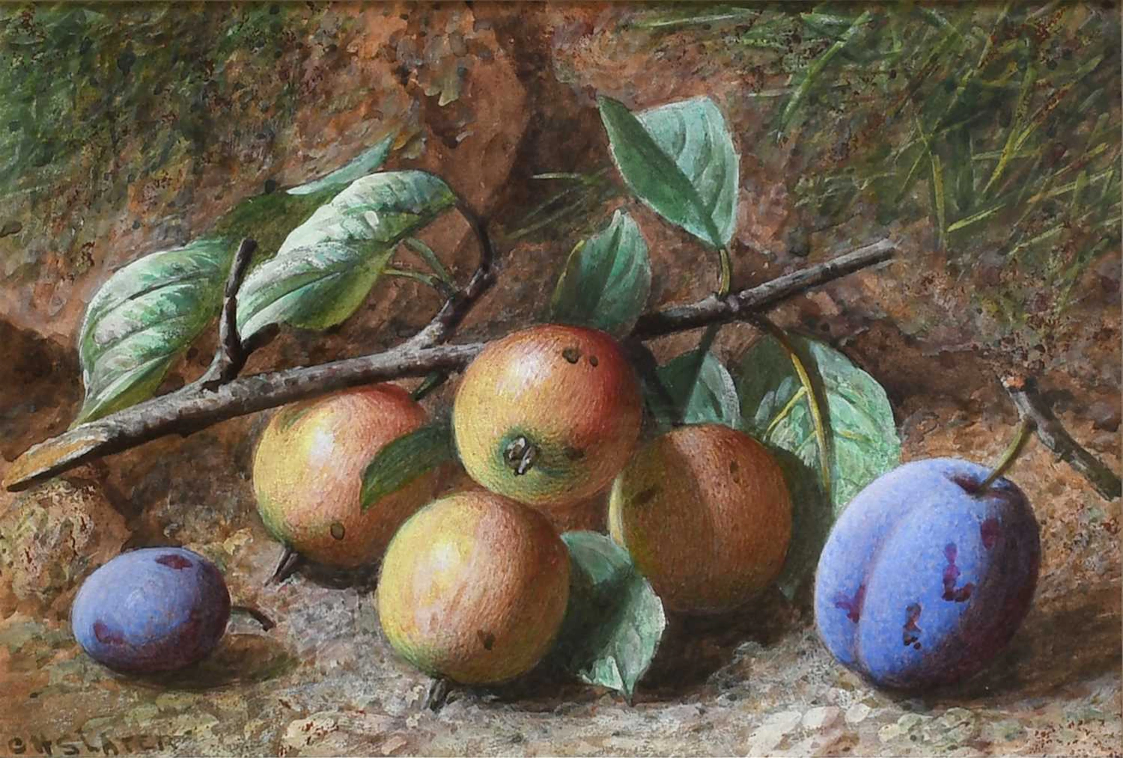 Charles Henry Slater (c.1820-1890)