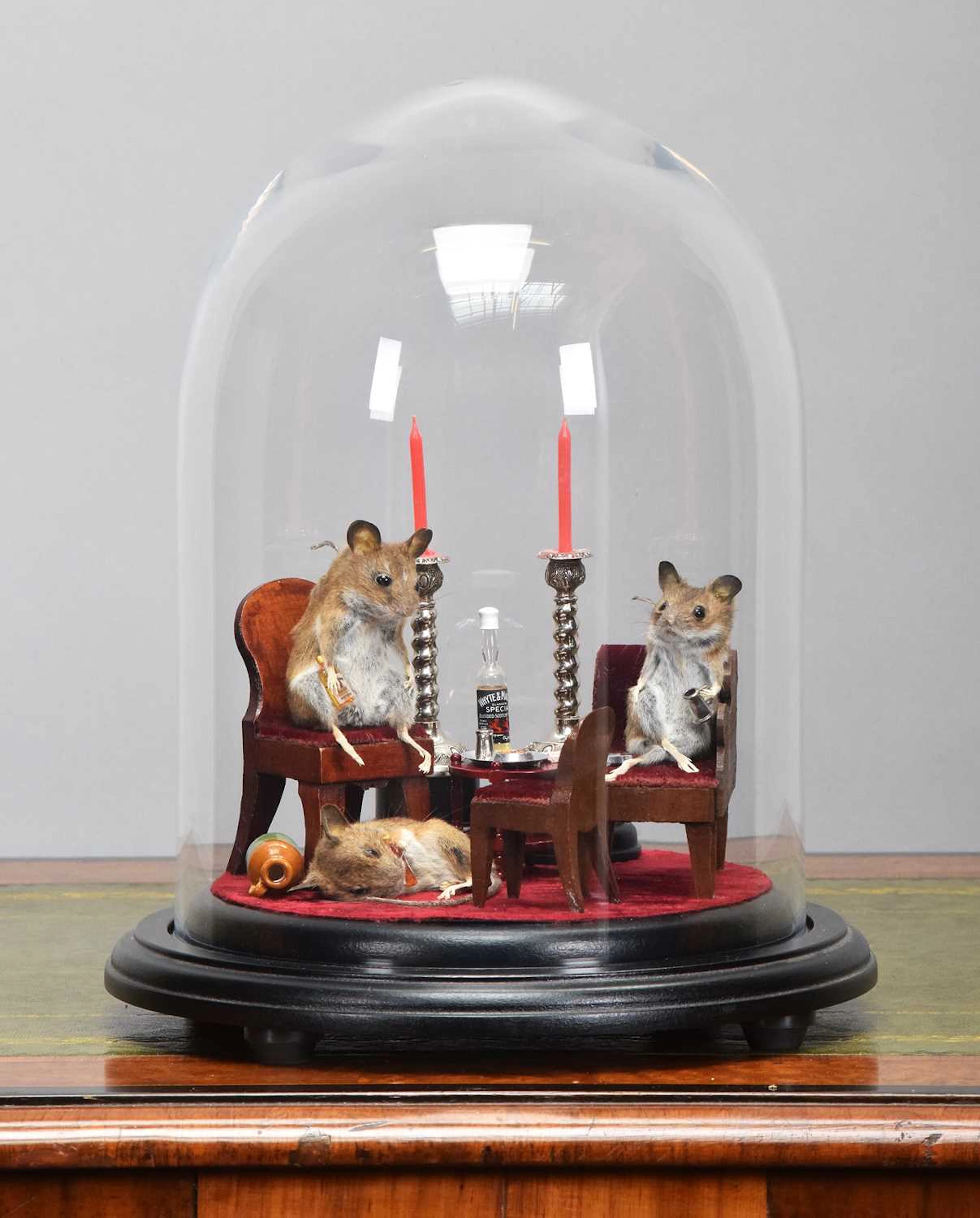 Anthropomorphic Taxidermy: A Whimsical Display of Three Drunken Wood