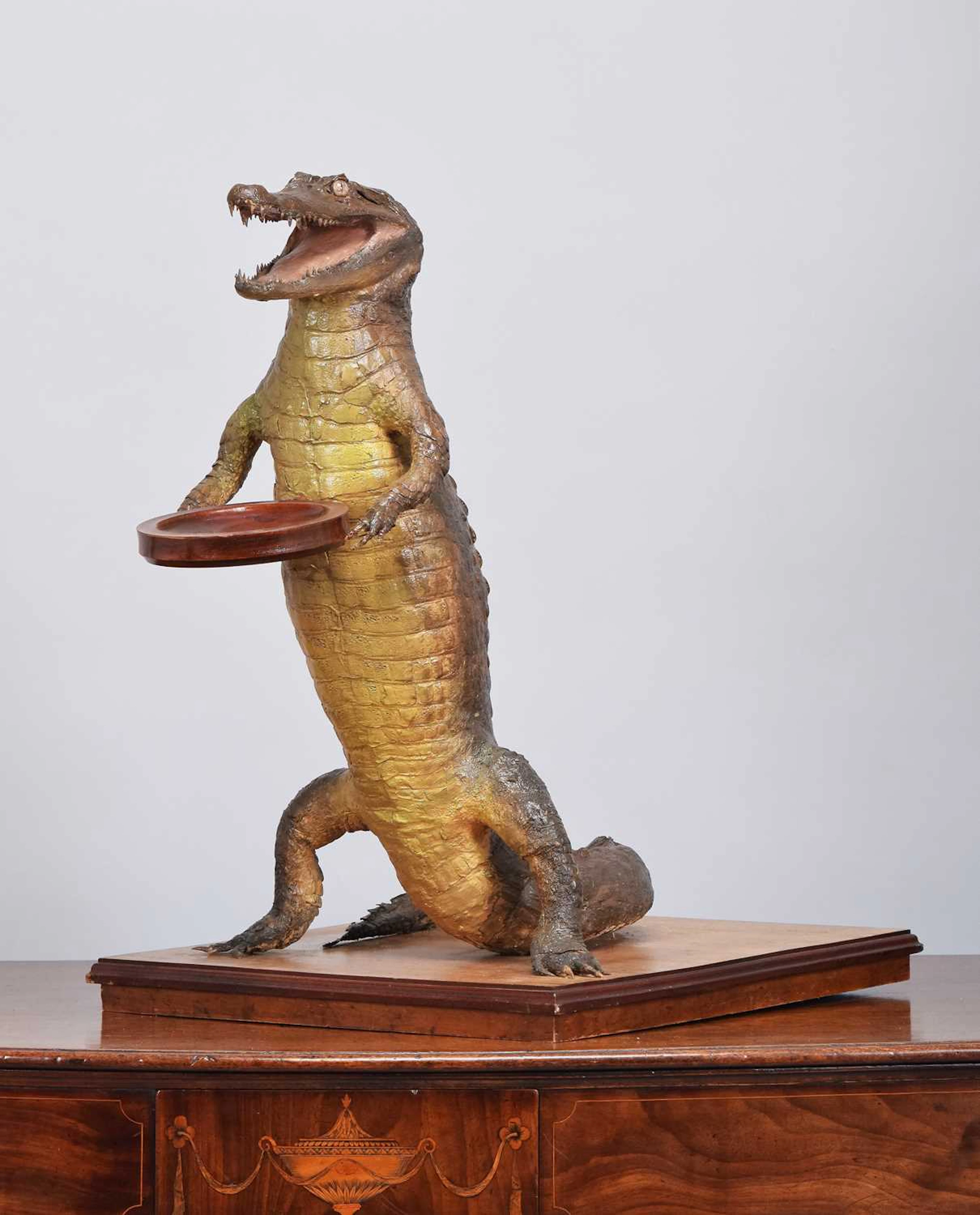 Anthropomorphic Taxidermy:, A Late Victorian Nile Crocodile Waiter