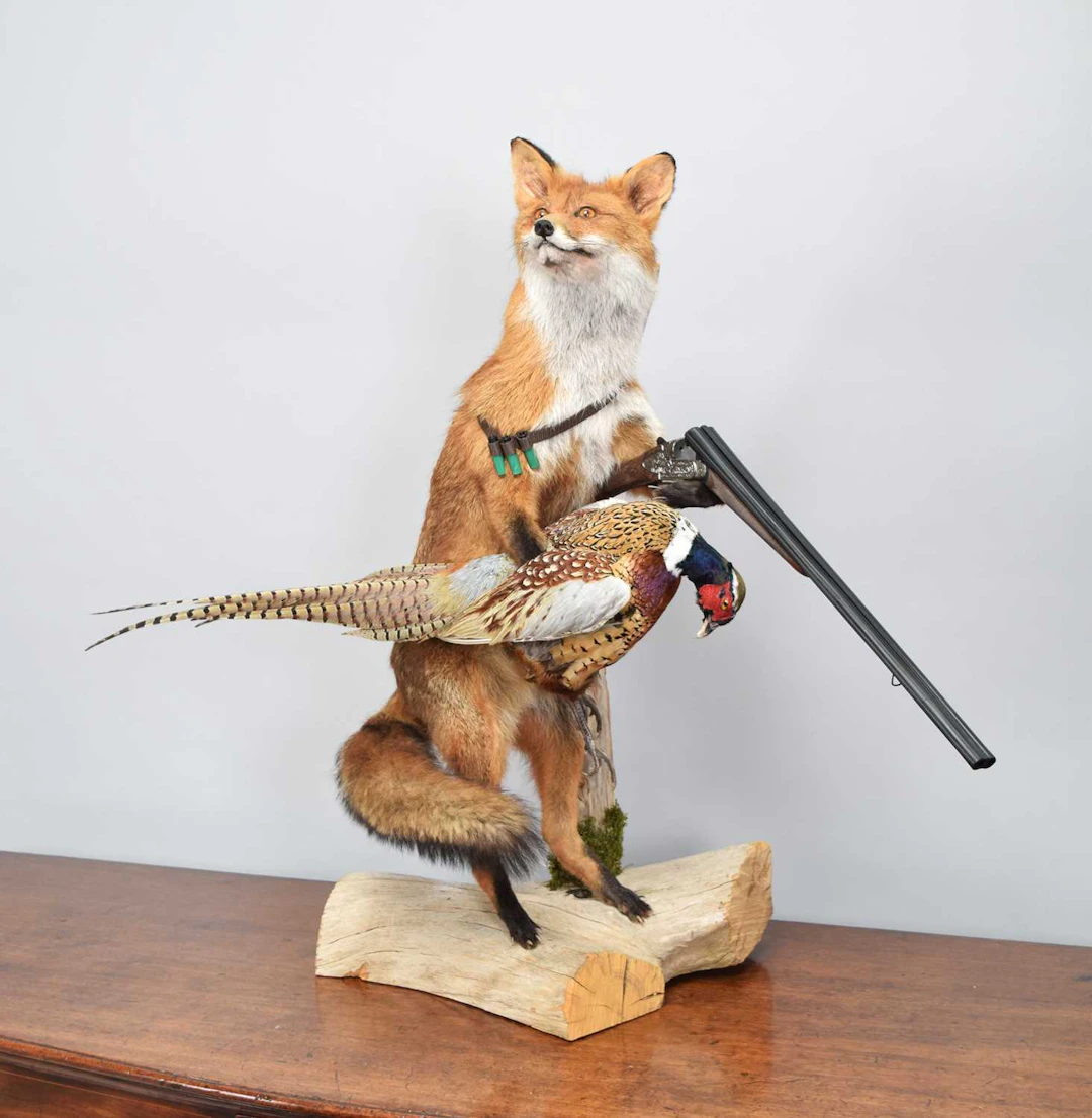 Taxidermy: An Anthropomorphic Hunting Red Fox (Vulpes vulpes), modern