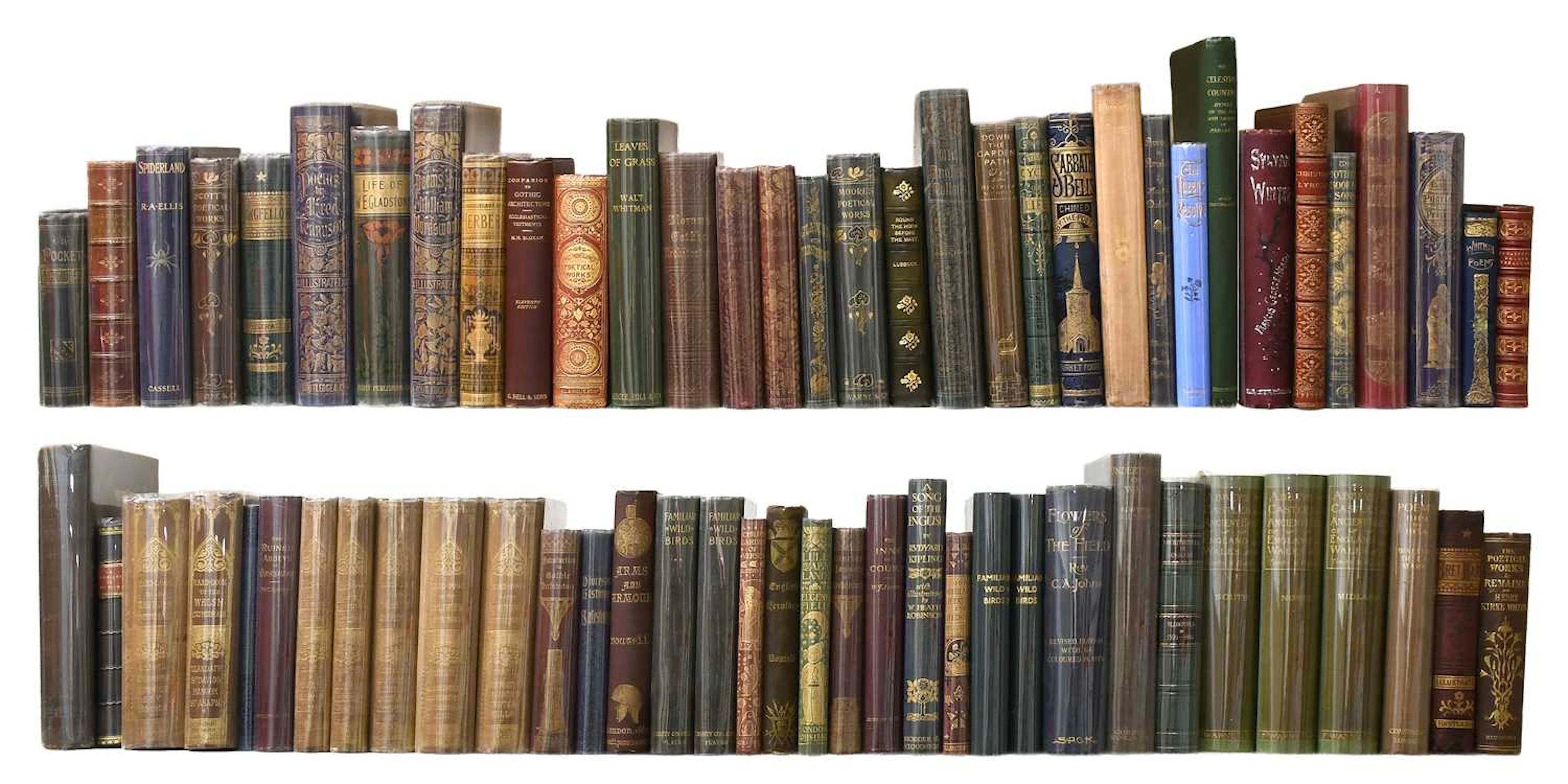 Bindings.