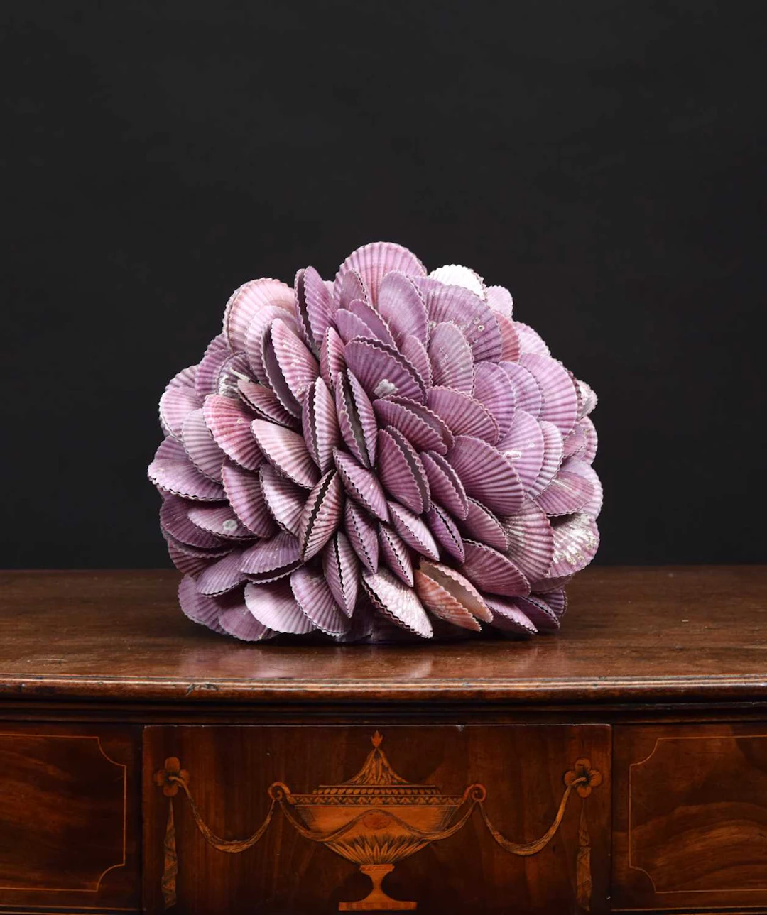 Conchology: A Purple Clam Shell Sphere