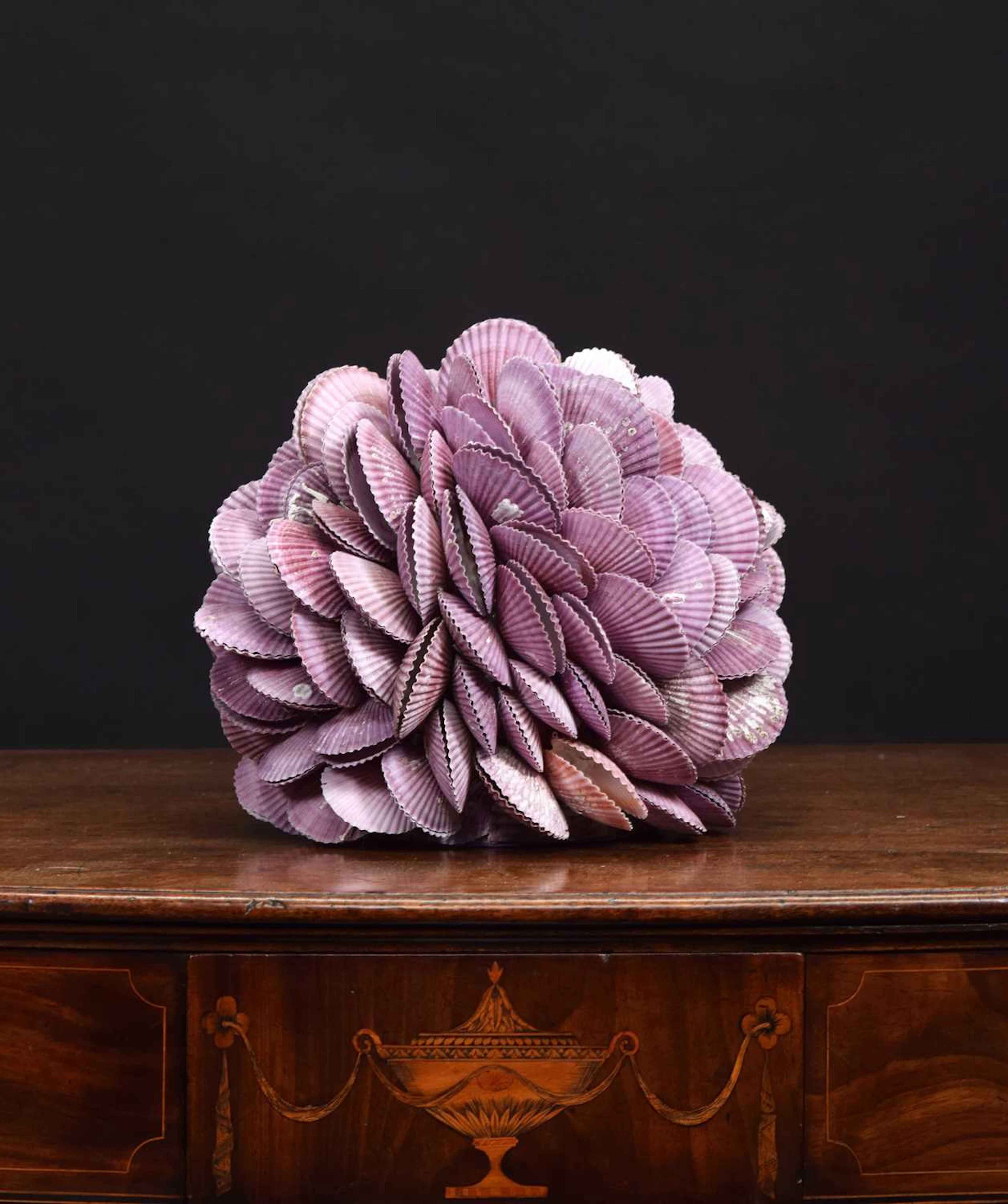 Conchology: A Purple Clam Shell Sphere