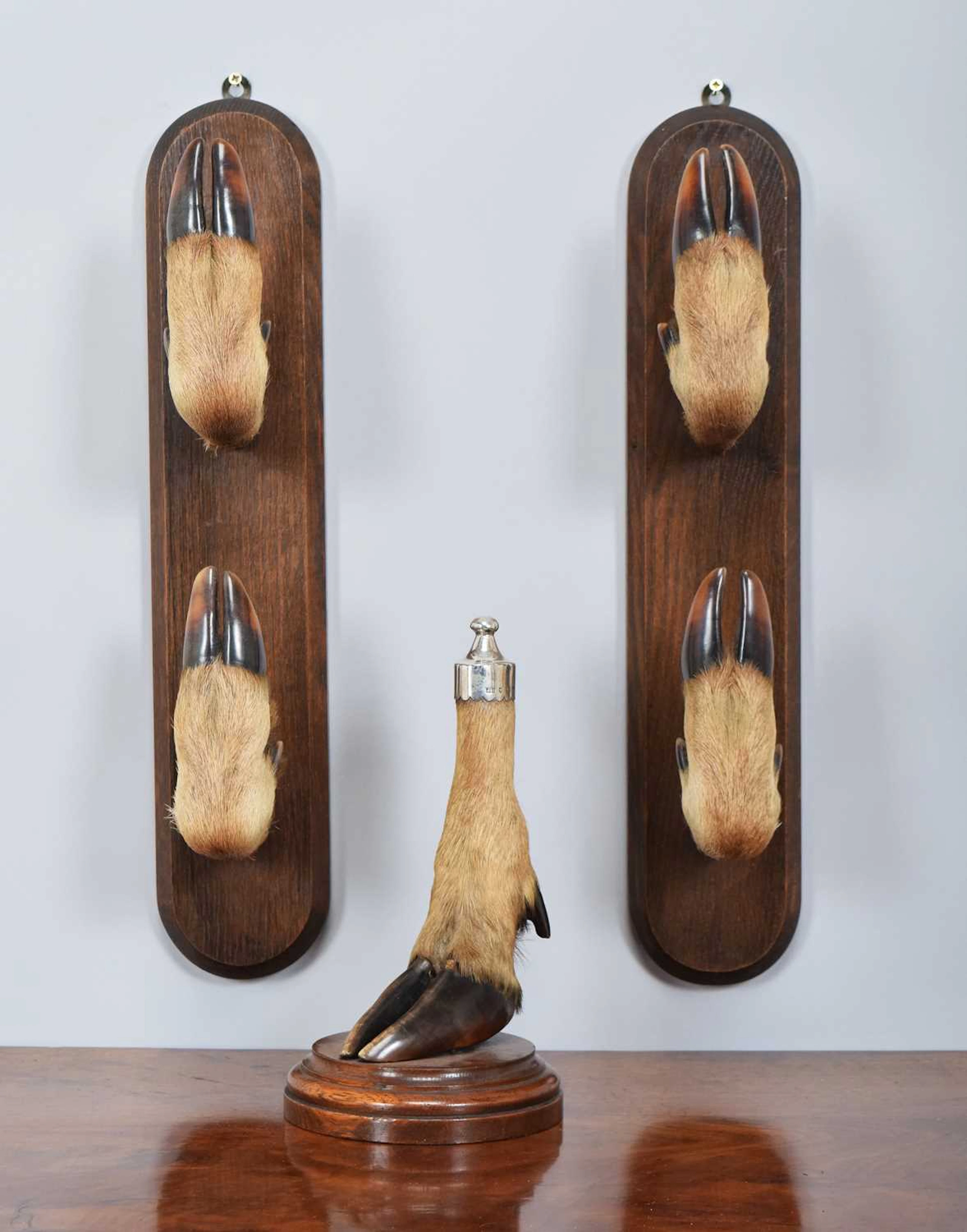 Natural History: A Pair of Wall Mounted Red Deer Slot Gun Racks (Cervus