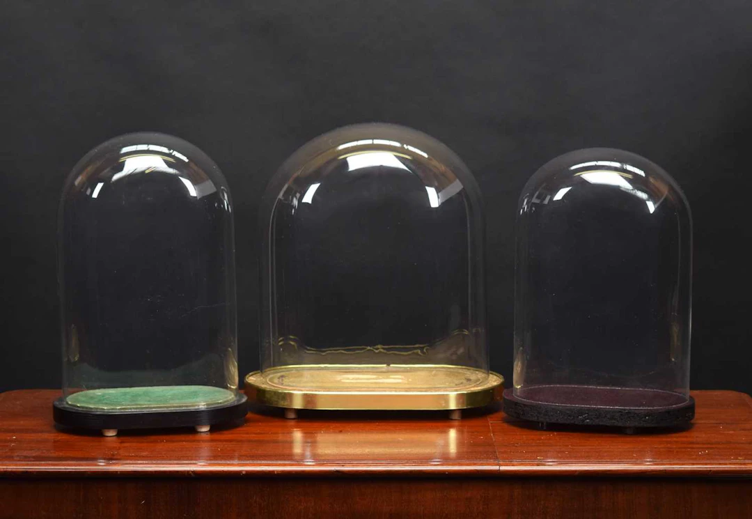 Glass Dome: Three Oval Glass Domes