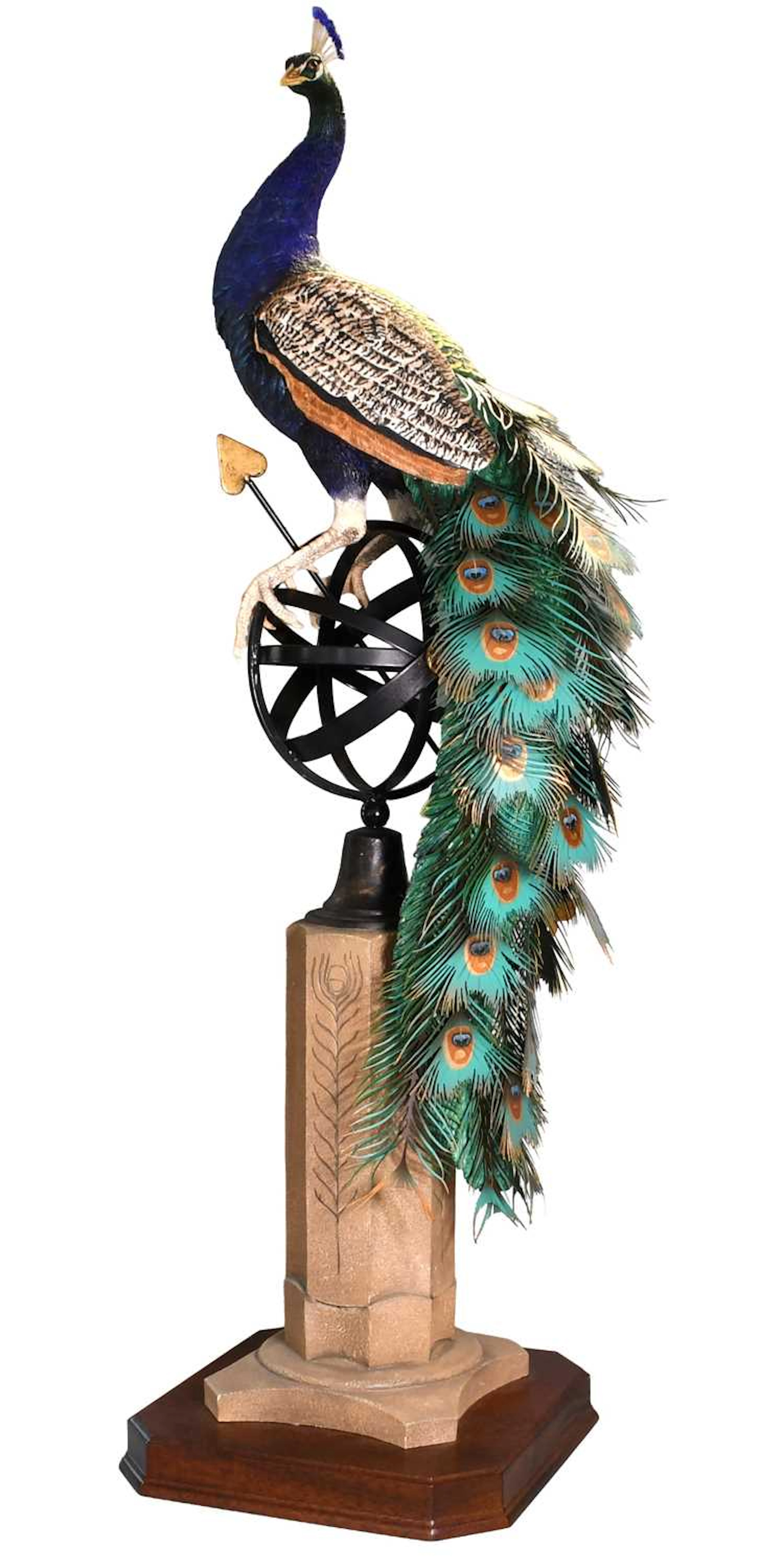 Border Fine Arts 'Regal Splendour' (Peacock)