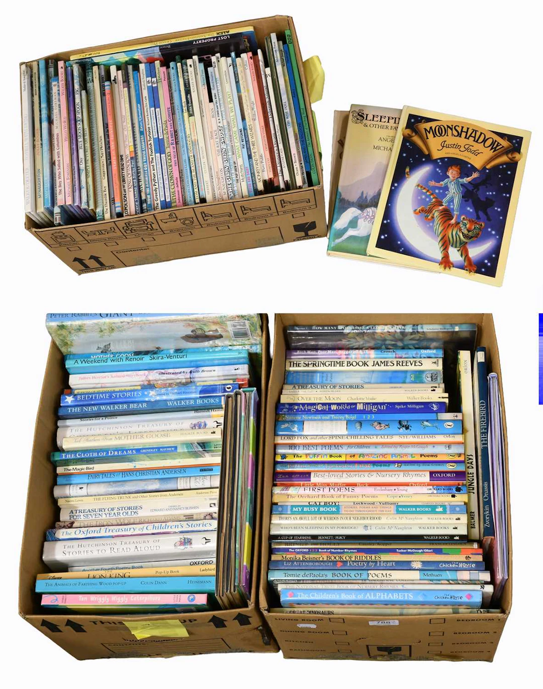 Collection of Children's Books