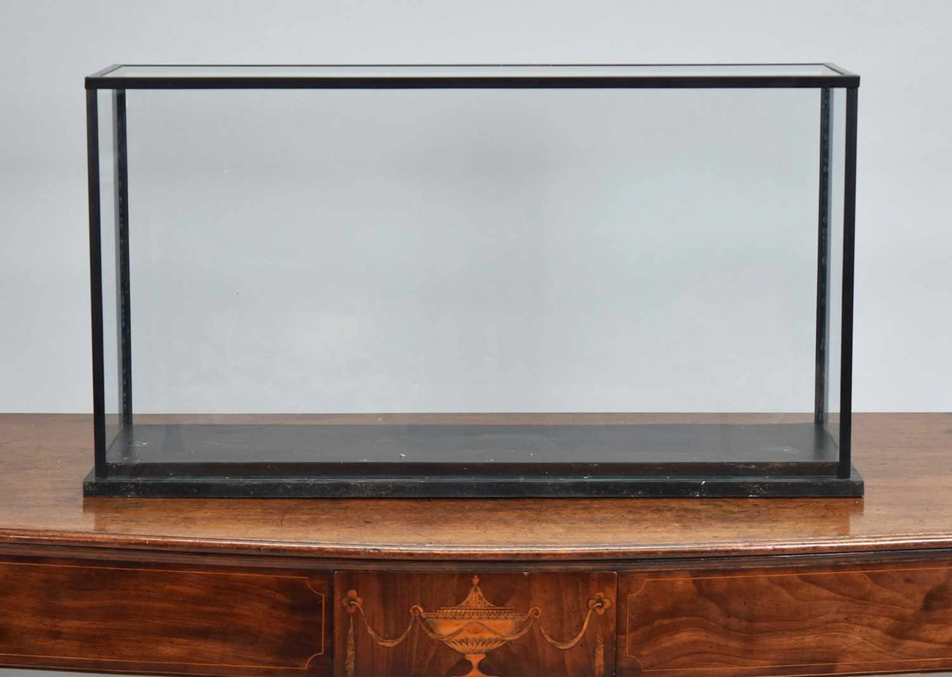 Natural History: A Large Glass Display Case, modern