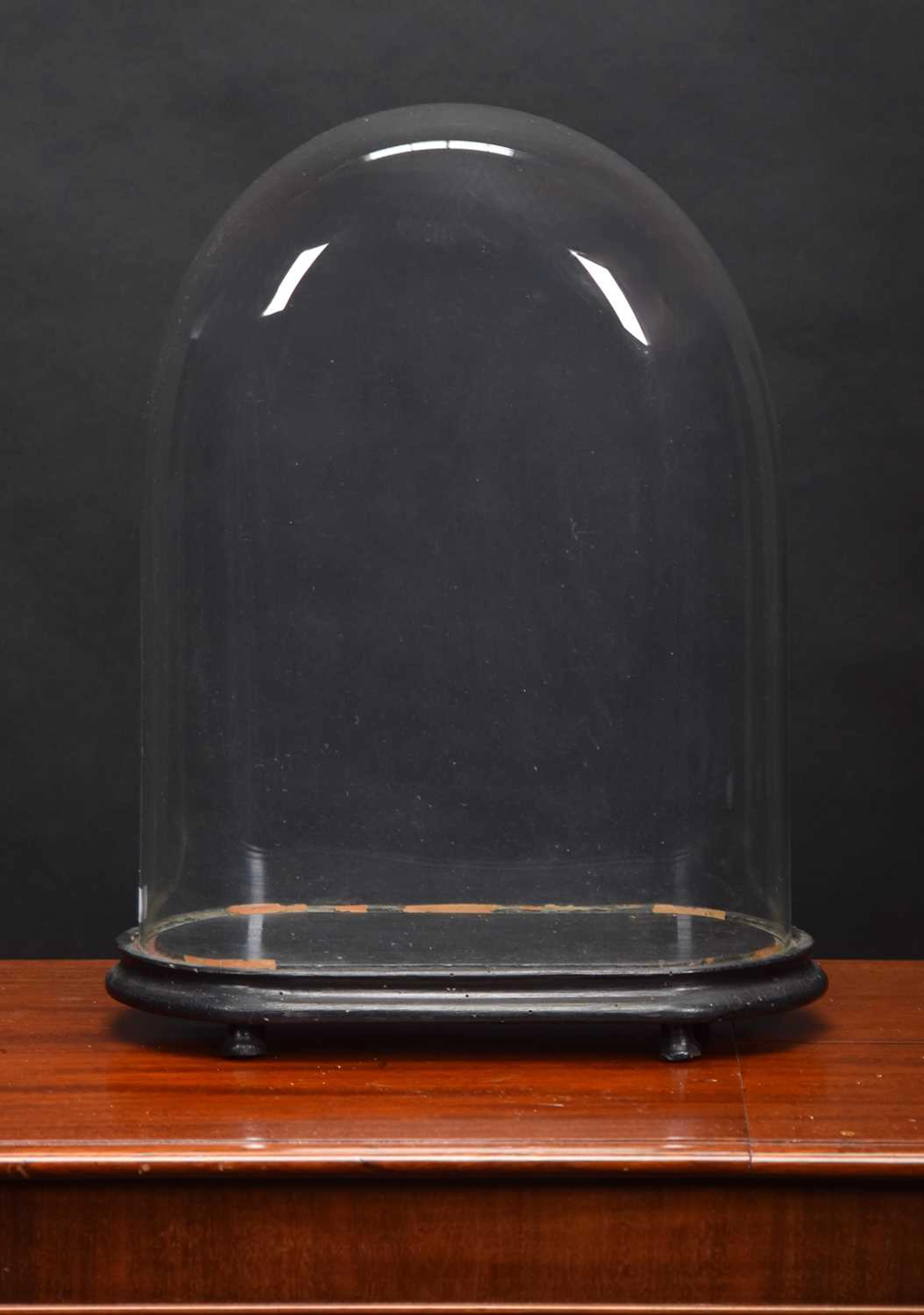Glass Dome: An Oval Glass Dome