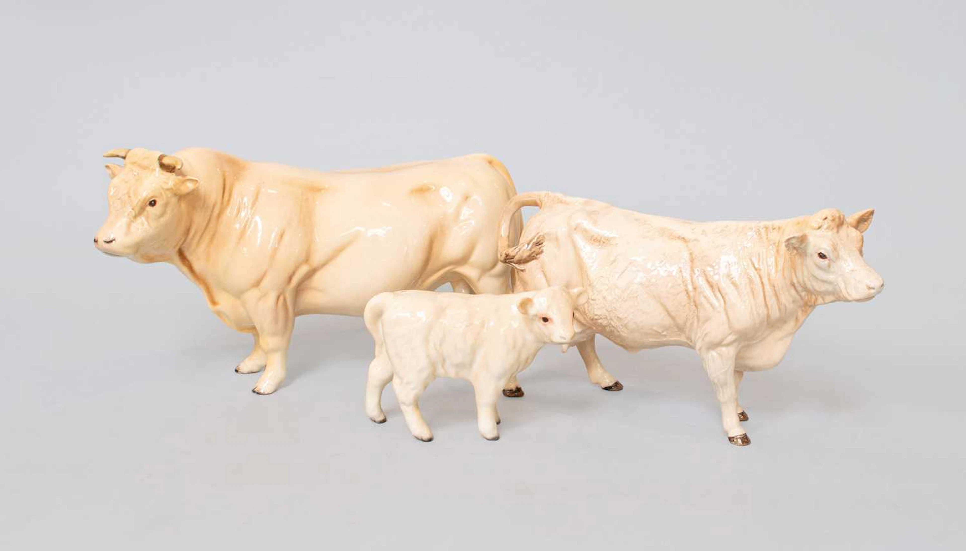 Beswick Charolais Cattle