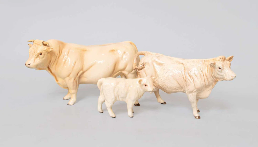 Beswick Charolais Cattle